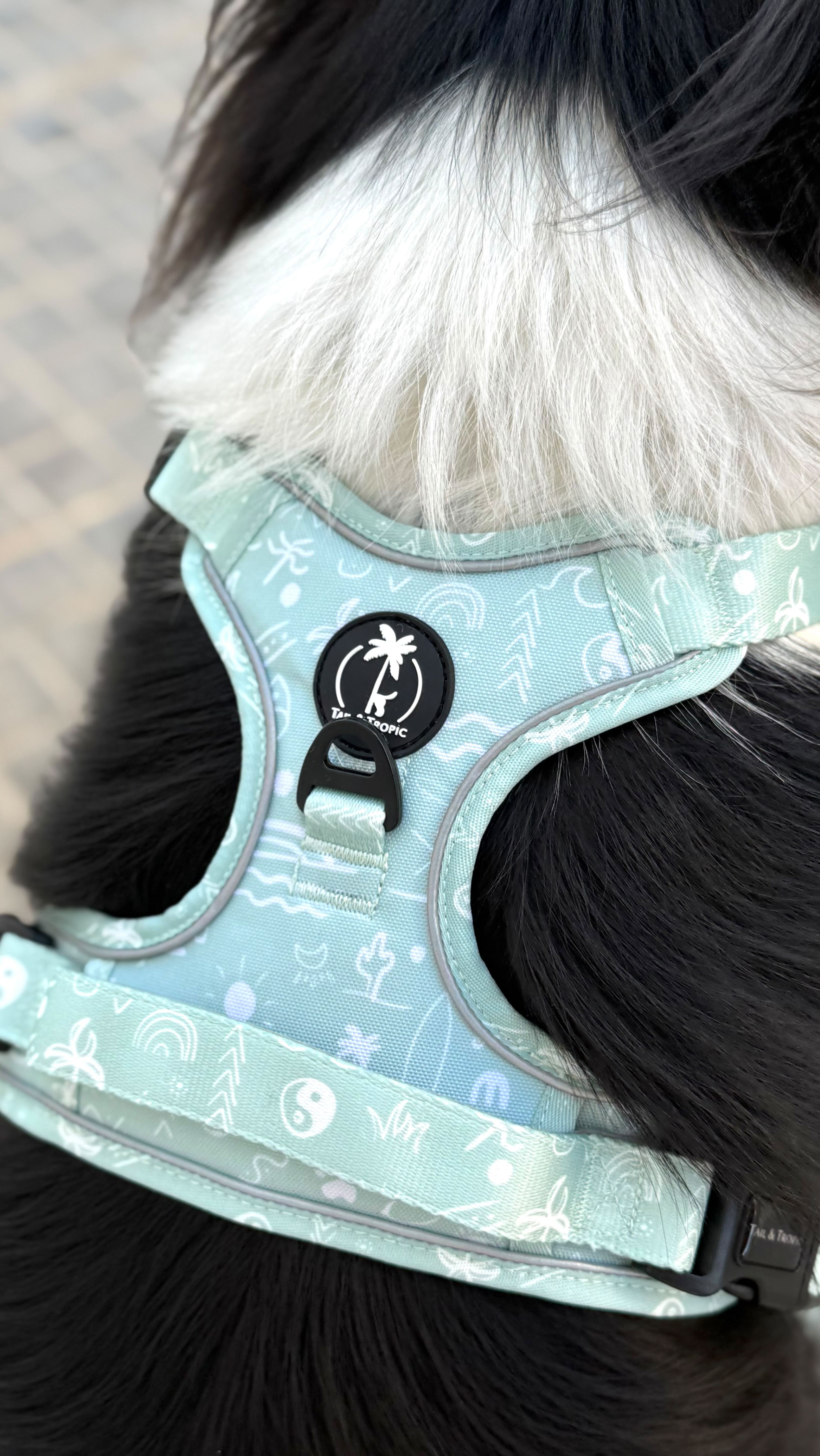 ✨ La colección AURA ya está disponible en la página web ✨
Meses de trabajo, ilusión e inversión… ¡por fin ven ya disponible!
Diseñada para los perros más aventureros, con tallas desde la XS hasta la XL – como bien sabéis, en Tail & Tropic es:
For big, for small, for all. 🐾🩵
#tailandtropic #perros #perritos #dogmum #arnesparaperros #arnés #arnestodoterreno #arnes4x4 #perrogrande #ppp #perritofeliz #dogdad #mamaperruna #papaperruno #españa #boho #mallorca #isla #mediterraneo