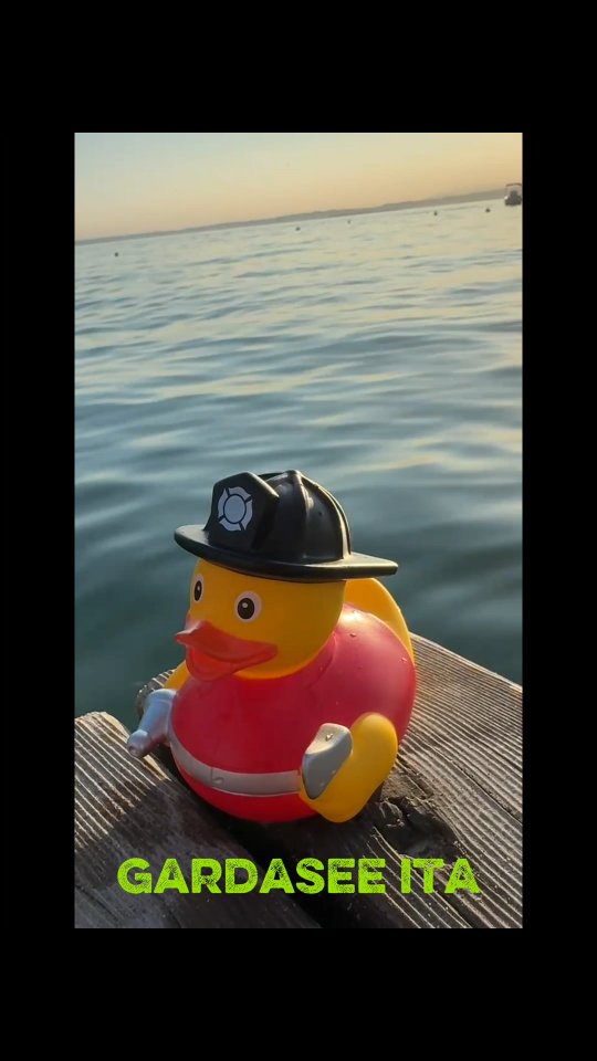 🦆 Die Feuerwehrenten aus der ganzen Welt begeben sich auf eine Reise.
🌏 Erfahrt bei uns, was es mit dieser Reise auf sich hat und von wo auf der Welt die Enten anreisen.
🇮🇹 Heute begeben sich zwei Enten vom Gardasee auf die Reise
✏️ Wo endet die Reise? Schreibts in die Kommentare
#turbenthal #wila #wildberg #feuerwehr #blaulicht #tösstal #118 #swissfirefighter #hobby #ente #reisen #gardasee #see #meer #feuerwehrauto #italien