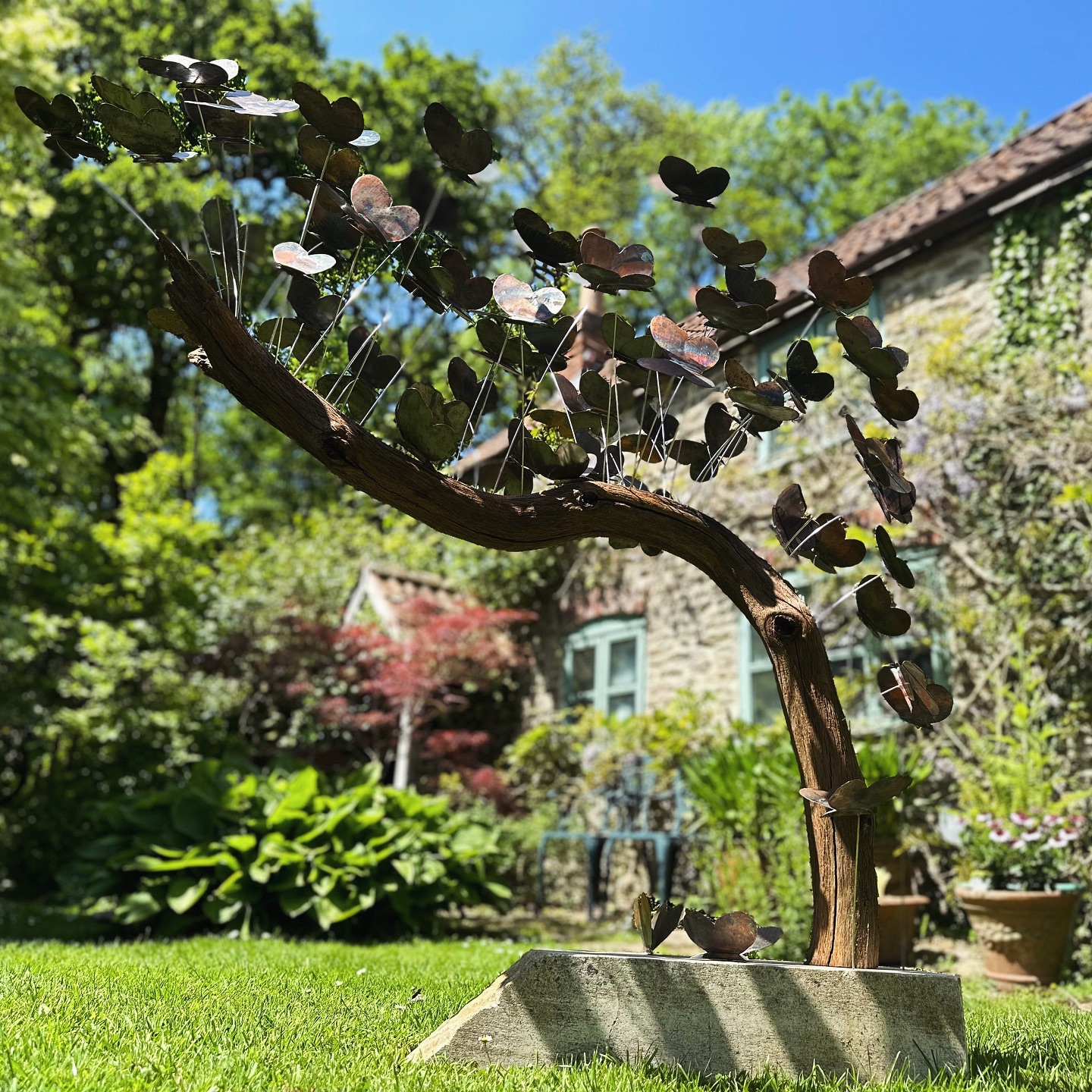 The Butterflies ๐ฆ
A fleeting touch of sunlit grace, with painted wings, a vibrant trace.
They dance on air, a joyful sight, butterflies bathed in golden light.
As butterflies transform and change, so do the materials used for this piece. Metals so hard and sturdy, they transform into delicate creatures perching on aged trees ๐ฆ
Please contact me for private commissions or to find out more about my work.
Dave ๐
- Cutler Aesthetics
#sculptureart #sculpture #dorsetart #dorsetartists #naturesculpture