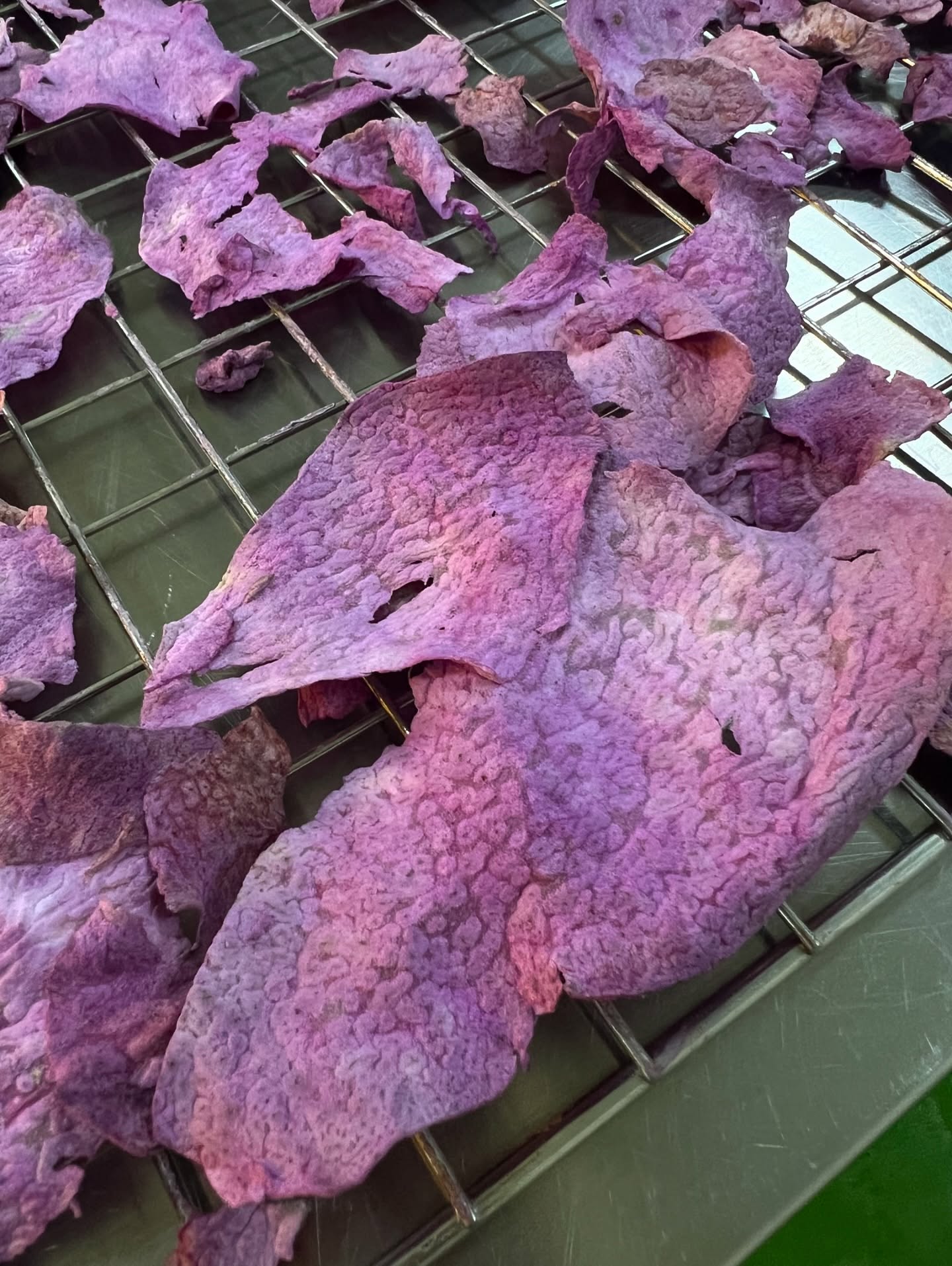 From Root to Radiance: The Ube We’re Proud Of 🌿
Here’s a side-by-side look at the difference quality makes.
First Photo: Class A Ube - vibrant, consistent, and naturally rich in that signature purple hue.
Second Photo: Class B Ube - uneven color, lower grade.
Here at Filipino Ube House, we are committed to excellence. We carefully select only premium Class A ube for its deep color, and purity to produce the finest ube powder available.
We’re proud to bring world-class ube to your kitchen
because when it comes to our #ubepowder, only the best will do.
From our farms to your kitchen, we deliver quality you can trust 💜
#UbeExcellence #PureUbe #UbePowder #QualityUbe #FarmToGlobal #PurpleStandard