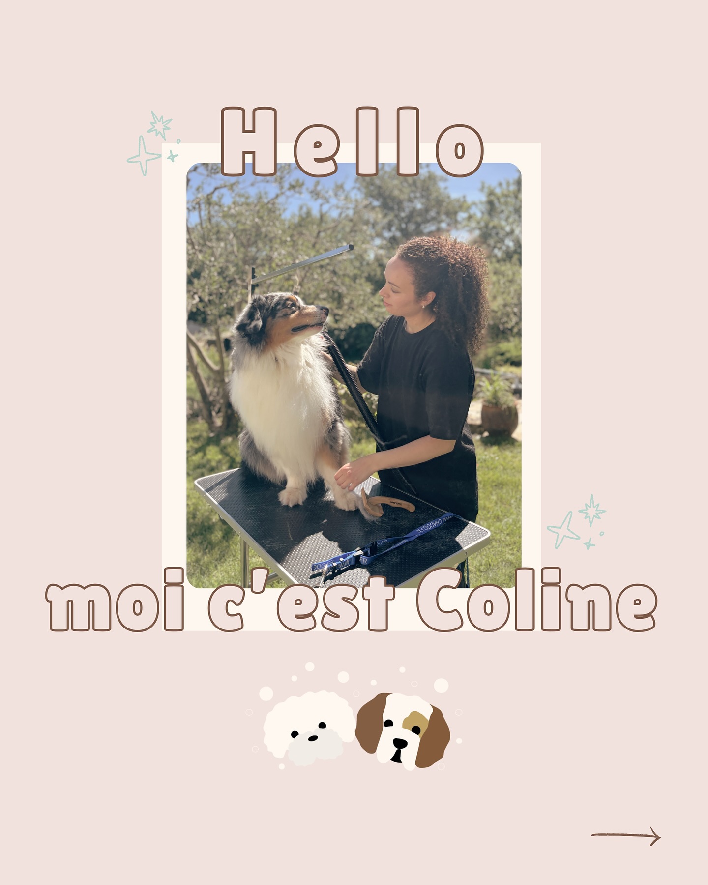 *** Mise à jour : je suis dorénavant basée sur Saintes en Charente-Maritime***
👋 Hello, moi c’est Coline !
Bienvenue sur mon compte dédié au toilettage à domicile, où je prends soin de vos boules de poils avec amour et professionnalisme. 🐾✨
Je suis là pour rendre vos animaux propres et beaux le tout sans stress dans le confort de votre chez vous. 🏠
Si vous avez envie de découvrir mes astuces, avant/après, et plein de conseils pour le bien-être de vos poilus n’hésitez pas à me suivre !
Hâte de commencer cette aventure avec vous et vos compagnons poilus 🐶💛
.
.
.
.
#toilettagechien #toilettage #toilettageadomicile #bienetreanimal