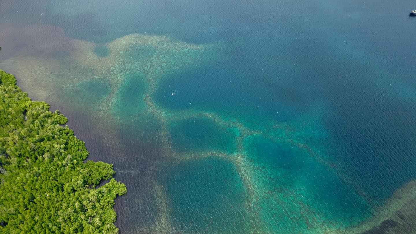 From the drops of water to a whole ecosystem snapshot; decoding elusive or hidden biodiversity using environmental DNA!
📷: IS
#eDNA #metabarcoding #biodiversitymonitoring #environmentalDNA #marinebiology #fieldworkfriday #naturedecoded