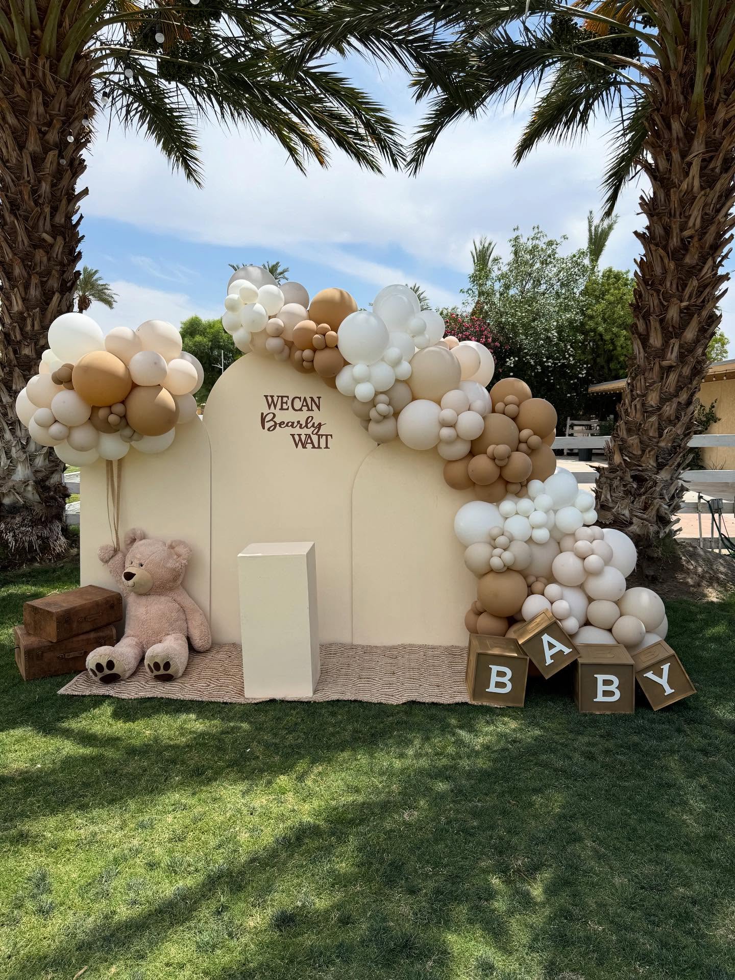 🎉💙💗 He or She? Let Us Host the Big Reveal! 💗💙🎉 🎈@yanivasbeautifulevents_