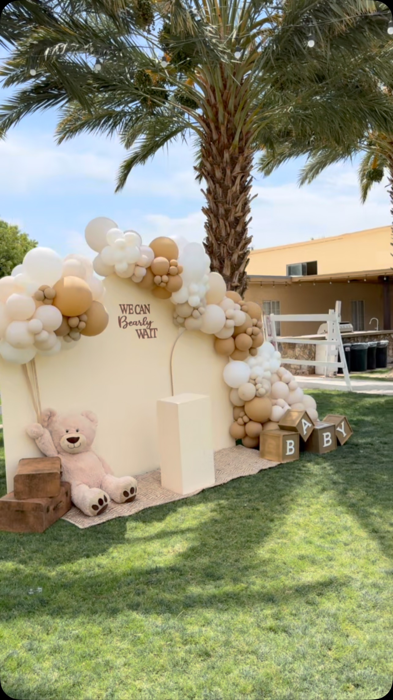 🎉 Boy or Girl — Let’s Make It a VIBE! 🎉🎈@yanivasbeautifulevents_