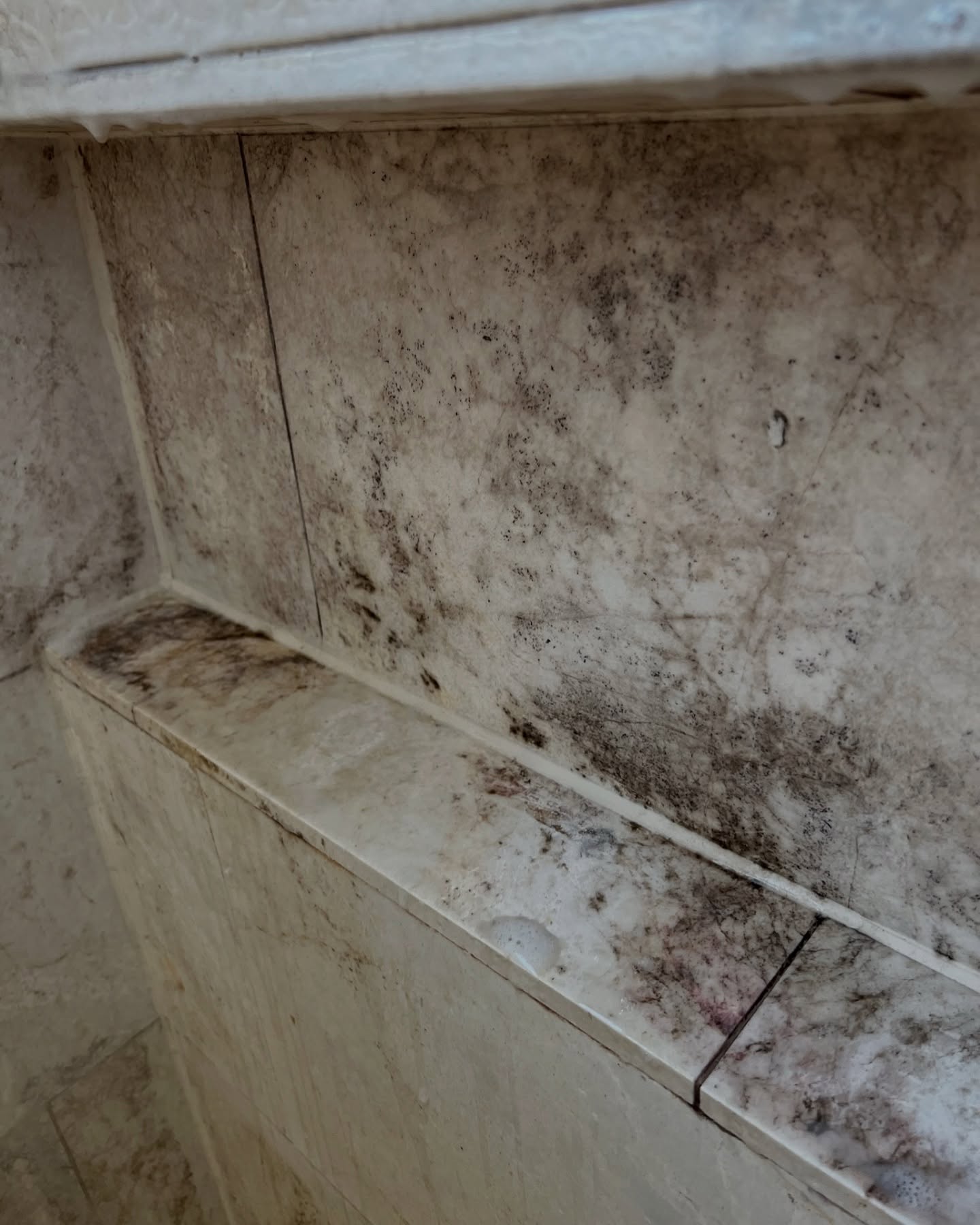 Welcoming June with one of our best before-and-after moments!
At first, we thought the tiles were black… but imagine our surprise when we realised it was all mould! 🧼✨
#cleaning
