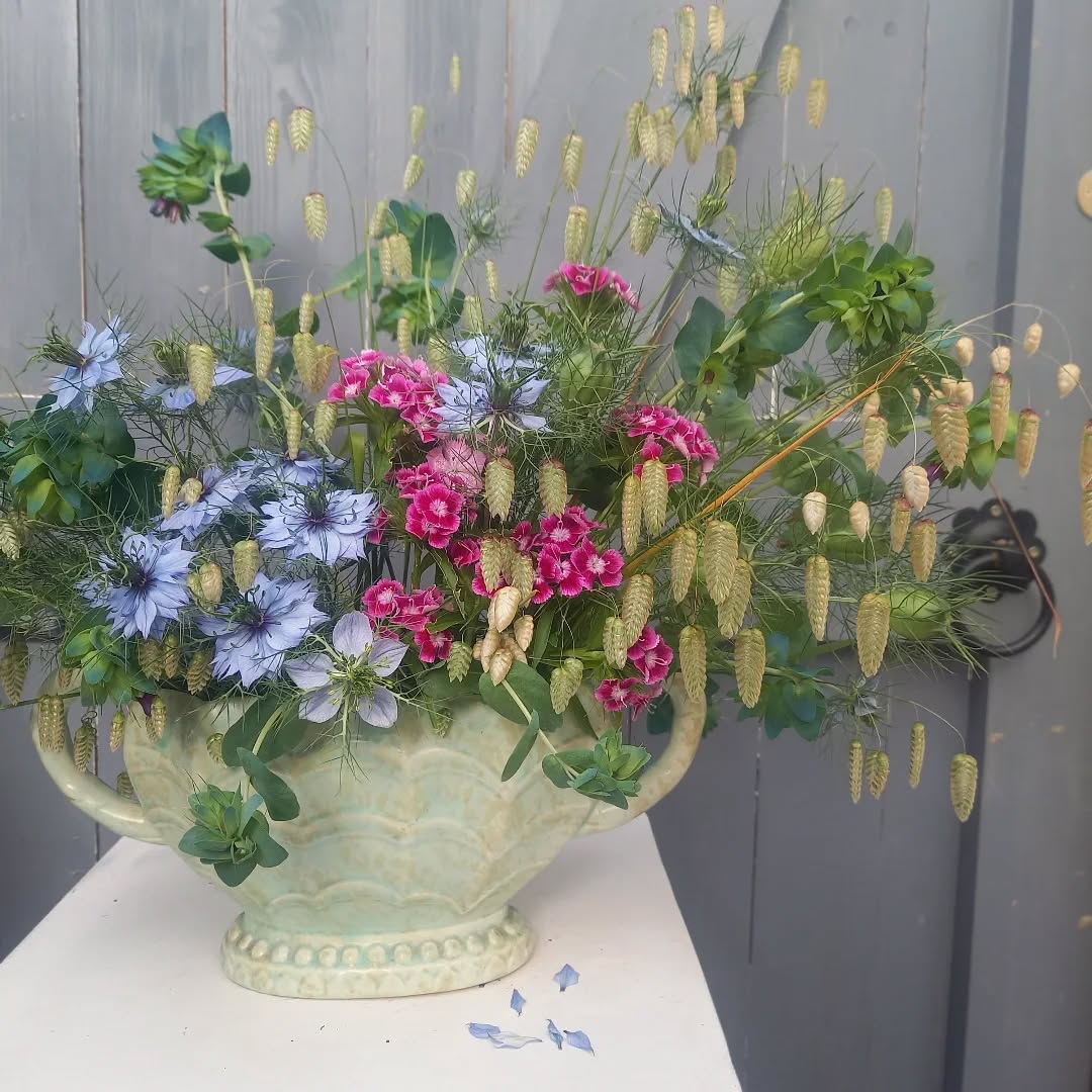 From bud to seed 🌾
I love watching nigella go from a tiny bud, to a beautiful papery flowers, to then a statement seed head before they scatter their tiny black seeds everywhere.
Needed a floral faff this afternoon after a day of admin. It always just resets me after too much screen time.
Happy Friday all! 🌿
#floralfaffing
#floralarrangements
#nofloralfoam
#gardenflowers
#fridayflowers
#surreyflorist
#carshalton
#carshaltonbeeches