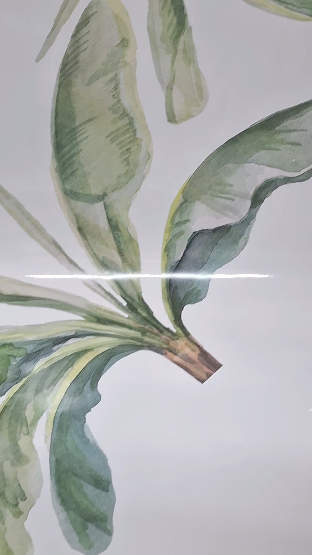 🌿 Bring a tropical escape to your home! ✨ Instantly refresh your walls with our minimalist and boho banana tree wall decals. Perfect for your living room or bedroom! 🌴
-
-
-
-
#RoomDecor #WallStickers #CherrySticker #PlayfulSpaces #RoomMakeover #MinimalDesign #HappyWalls #MomLife #StickerArt #ColorfulDreams
-
-
-
Tags: jungle stickers, tropic wall decal, tropics decal, tropic decal, nursery wall decal, watercolor walldecal, bananatree, removable botanical, botanical walldecore, botanical wall decal, kidsroom, walldecals, walldecal