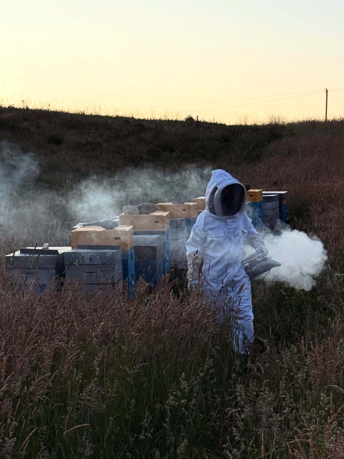 Départ de nuit pour la Drôme Provençale et ses champs de lavande…. La floraison est imminente… 🪻☀️
#lemielremyglaise #auvergne_rhône_alpes #auvergnerhonealpes #drome #dromeprovencale #lavande #miel #beekeeping #honey #healthy #transhumance #happybee #bee #abeille #lyonnais #lavender #dieulefit #farm #apiculture #apicultura #ruche #beehive #spring