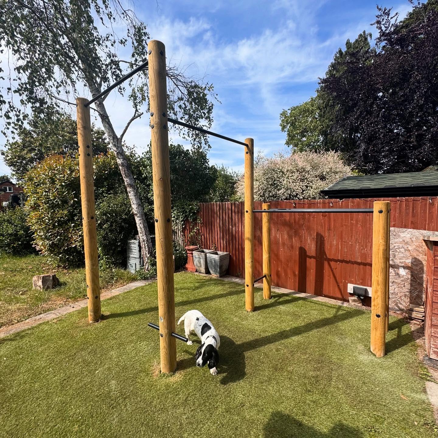 Double pull up bar and dip station installed in Southampton today the customer and the family #spaniel were very happy #gardengym #outdoortraining #pullups #summertraining