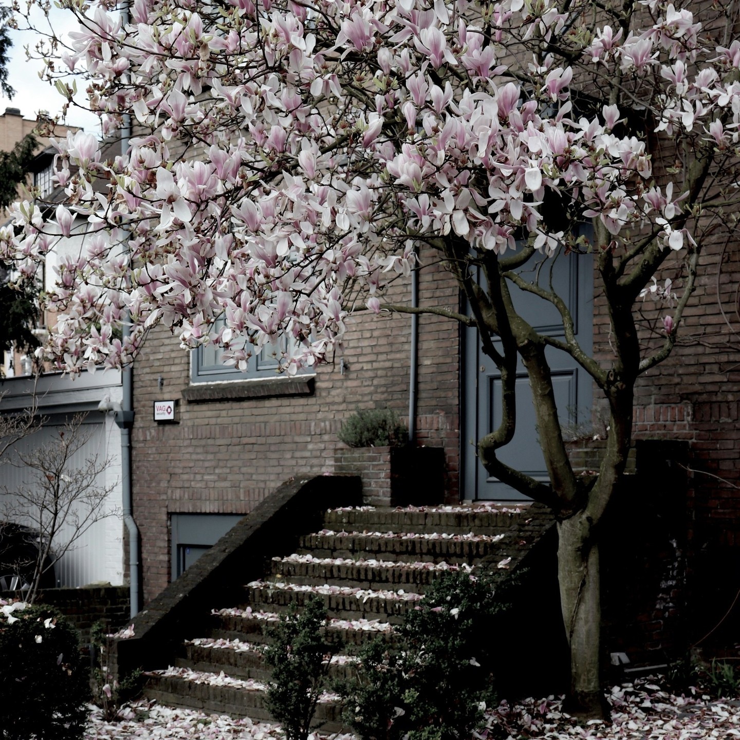 🦋
.
.
.
© @_evarosa_ v/ @unsplash
.
.
.
#180editions #bookworm #bookstagram #booksofinstagram #litterature #book #books #livre #instabook #instalivre #booklover #lecture #reading #bookish #mangezlocallisezlocal #bruxelles #brussel #brussels