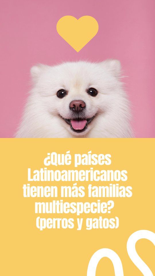 ¿Tu familia también es multiespecie? ¿Están listxs para evacuar en caso de emergencia?
Explora mi perfil, que te cuento como hacerlo 🤗
.
.
.
#animalesendesastres #iad #iadlatam #inclusionanimalendesastres #inclusionanimal #cuidadoanimal #ningunanimalsequedaatras #animal #animallovers #animals #amor #ayuda #proteccion #conservacion #educacion #desastres #desastresnaturales #latina #cambioclimatico #refugioanimal #santuarioanimal #caribe #petsofinstagram #plandemergencias #americalatina