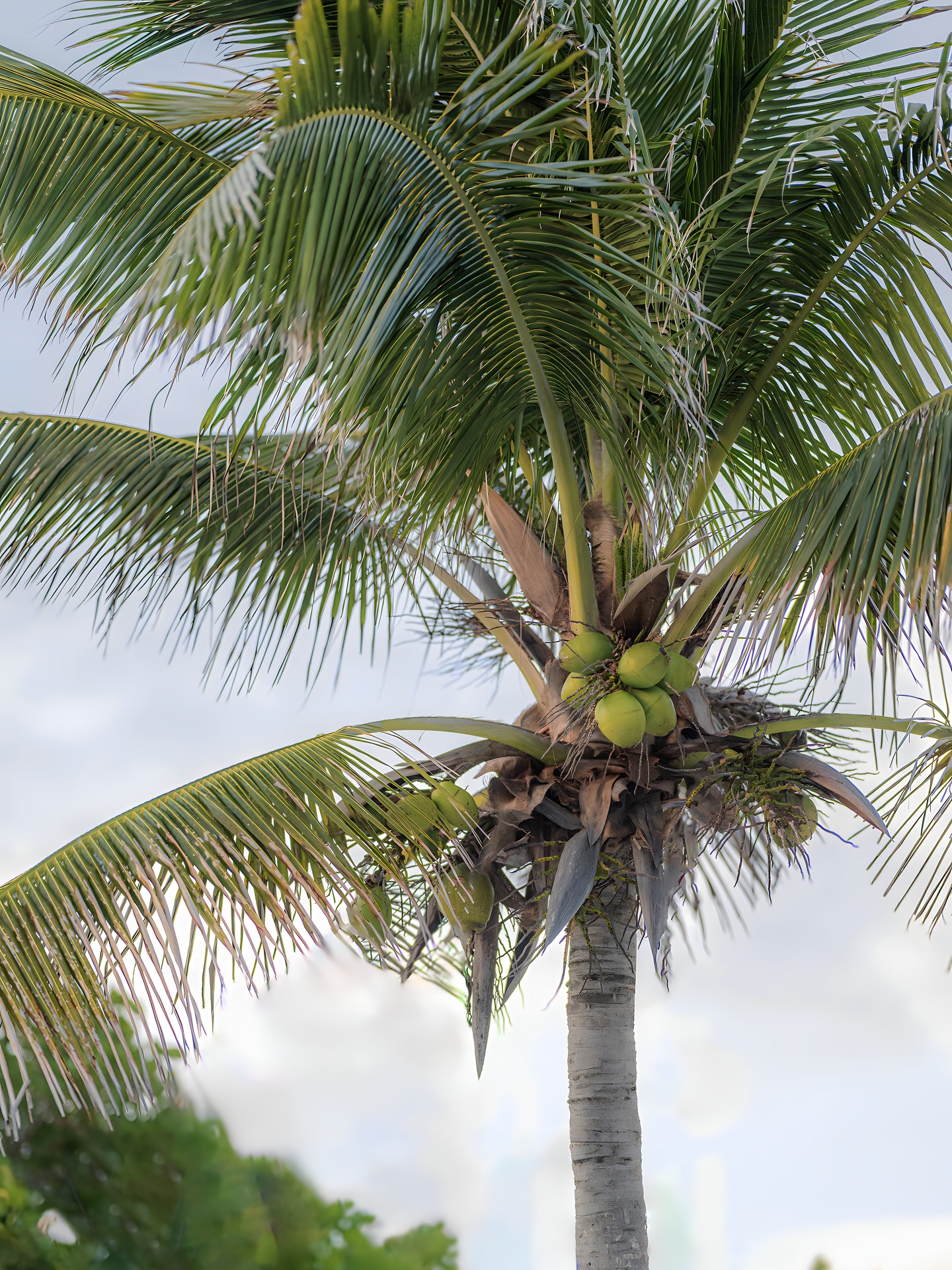 Next-level branding starts with bold, inspired creatives. #theseraphcollective