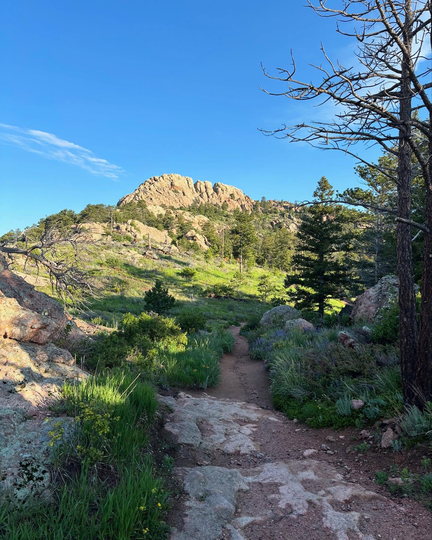 This morning was quite an adventure! We felt it was finally time we climbed our local popular hiking trail, horsetooth!
Trail: Horsetooth Rock Loop
Distance: 5 miles (8.04km)
Time: 2:15
#horsetooth #horsetoothreservoir #hiking #colorado #buddysystem #workout #outdoor #nature #spring