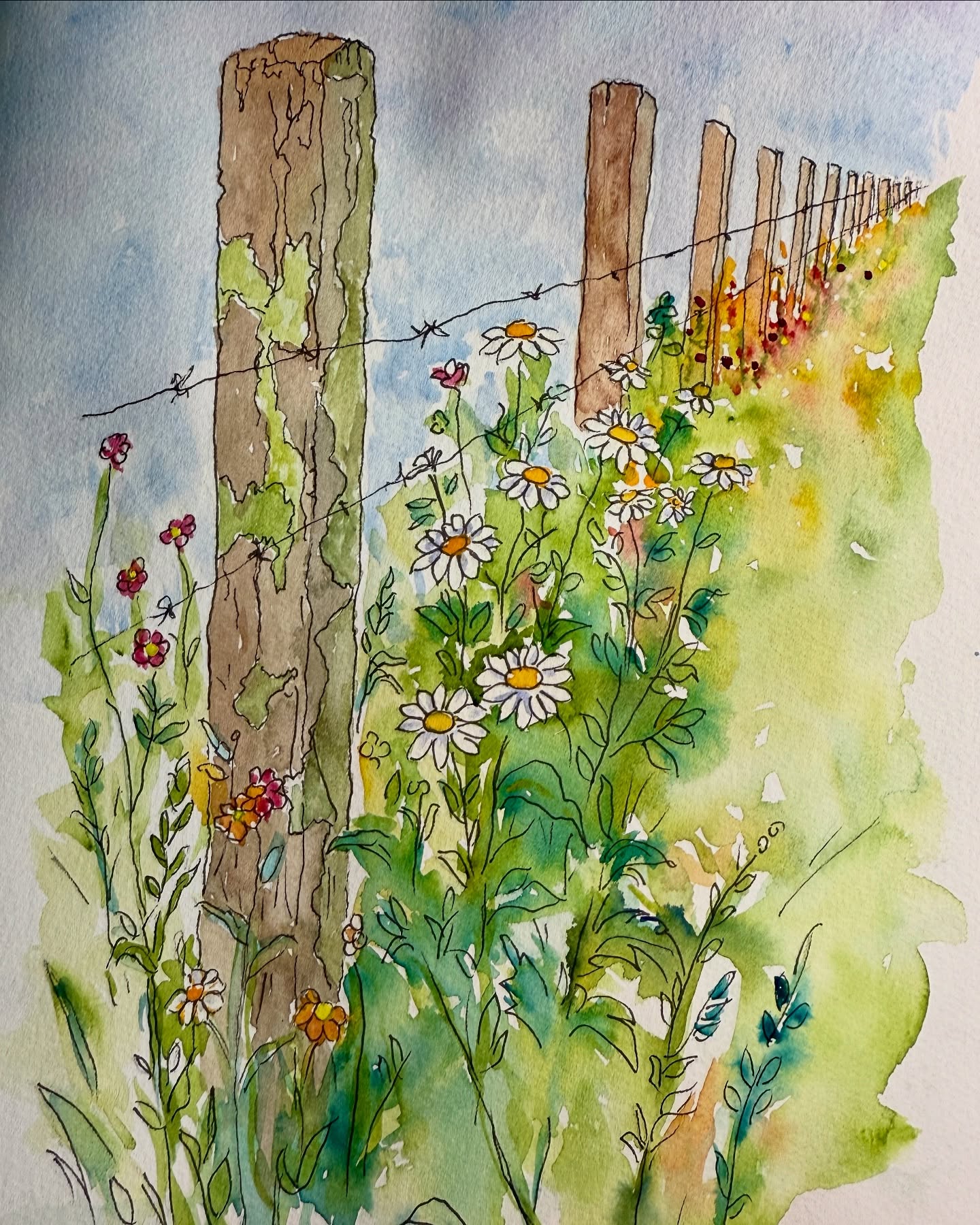 I’ve been working on some different approaches to my paintings - creating a drawing, fine lining it then painting. I’m curious as to what your thoughts are?
#watercolorpainting #danielsmithwatercolors #opusdailypractice #opusartsupplies #painteveryday #windsornewtonmarkers #fabrianoartistico #southsurreywhiterockartsociety #carolynbaroneartist #paintingsofinstagram