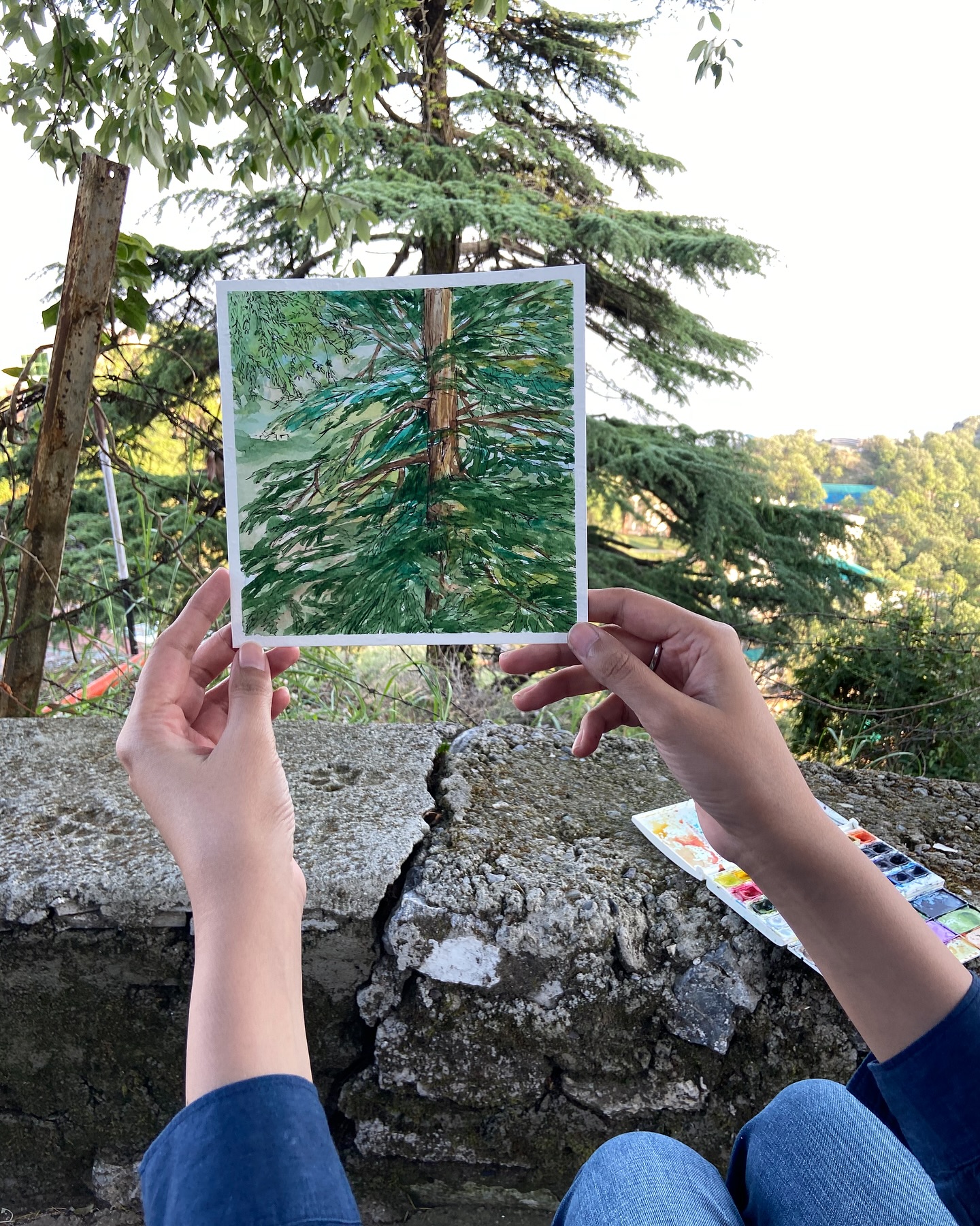 Plein air watercolour and ink on paper
#pleinairpainting #pleinairpeinture #paintingoutdoors #watercolorist #pleinairlife #tveshasingh #impressionism #paintingfromlife