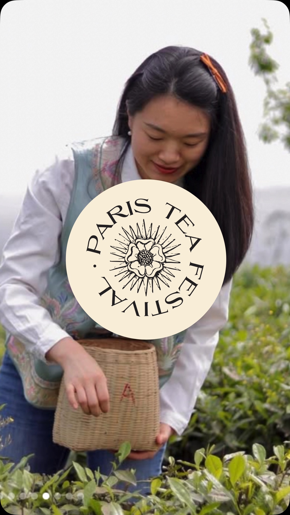 ✨ OFF – DÉGUSTATION DE THÉS VERTS ✨
🇨🇳 Les primeurs du Sichuan avec Di Xiaoqian
Une dégustation rare et intimiste animée par Di Xiaoqian, maître de thé venue du Sichuan, en Chine 🌿
Partez à la découverte des primeurs 2025, fraîchement cueillis dans les montagnes brumeuses du Sichuan.
🍃 Au programme :
1. Shenmu Mountain High Mountain White (thé blanc de haute montagne)
2. Orchid Bamboo Fragrance (parfum orchidée et bambou)
3. Green Pine Needle – bio (aiguilles de pin vert)
4. Sichuan Maofeng (un classique du Sichuan)
Chaque thé sera présenté avec ses origines, ses particularités et les secrets de sa récolte.
✨ En bonus : assistez à une démonstration de la cérémonie du thé du Sichuan à la théière à long bec, une tradition spectaculaire qui allie virtuosité et culture du geste.
💚 Avis aux amoureux du thé vert : cet atelier est fait pour vous !
📍 Alma (tea gallery), Paris 16e
🗓️ Samedi 14 juin à 15h
🎟️ 10 places uniquement 20€ – Inscriptions sur paristeafestival.com
—
✨ OFF – GREEN TEA TASTING ✨
🇨🇳 Sichuan Spring Teas with Di Xiaoqian
A rare and exclusive tasting led by Di Xiaoqian, tea master from Sichuan, China 🌿
Come discover the fresh 2025 spring harvests from the misty mountains of Sichuan.
🍃 On the tasting menu:
1. Shenmu Mountain High Mountain White (白茶 de haute montagne)
2. Orchid Bamboo Fragrance (Parfum orchidée et bambou)
3. Green Pine Needle – Organic (Aiguilles de pin bio)
4. Sichuan Maofeng (Un classique du Sichuan)
Each tea will be presented with insight into its origin, cultivar, and unique character.
✨ As a highlight, witness the Sichuan long-spout teapot ceremony – a blend of elegance, dexterity, and deep tea culture.
💚 Green tea lovers, this one’s for you.
An intimate, unforgettable experience.
📍 Alma (tea gallery), Paris 16
🗓️ Saturday, June 14 at 3PM
🎟️ Limited to 10 guests €20 – Registration at paristeafestival.com
#ParisTeaFestival #ThéDuSichuan #sichuantea #DiXiaoqian #ptfouiouioui🔥 #AlmaTeaGallery