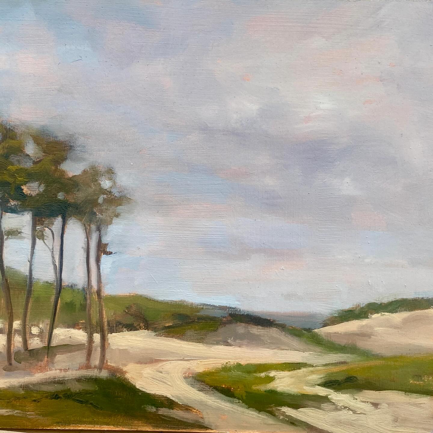 Painting on Anglesey with @londonpleinairpainters . We got sandblasted on Newborough Beach and then windswept at a small cove below Southstack lighthouse. Swipe to see my paintjngs, plus insight into what a herd of anxious plein air painters look like when searching for shelter, and a video of a happy group painting once they’ve found it.
Thanks to Oleg @absolutelyphoto for the herd shot ( and about a million others taken during the week) .
A perfect painting day ( give or take the abundance of sand in every painting and the occasional clunk of an easel falling over)…… rounded off by a lovely dinner at @oceansgaze
Thanks to @londonpleinairpainters for a brilliant trip- such fun to paint with a group of talented( and hardy) artists!! I will be back
#paintoutside #pleinairpainter #angleseyisland #southstacklighthouse #newboroughbeach #windandsea #crashingwaves #sandandsea