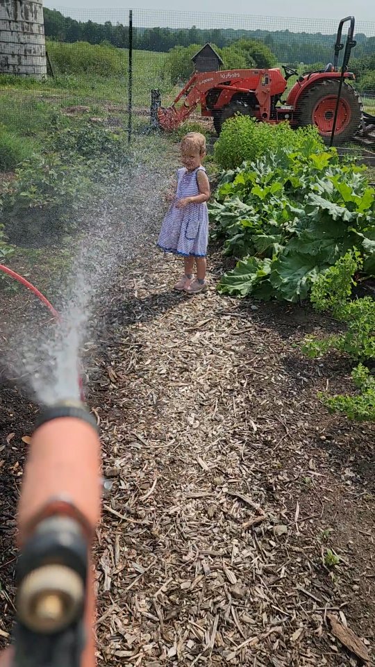 I keep watering this one particular seedling, but she's still so little! Please advise. š±
