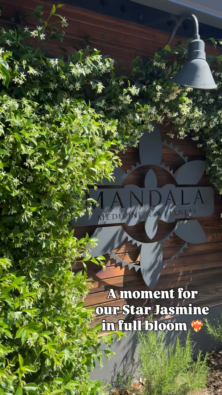 A moment for these Mandala stunners, Star Jasmine & Voodoo Lily! 📸
You better not miss the chance to get on the schedule in the next 3 weeks so you can smell the magic that is this show stopping proud Jasmine on the front of our building. This vine has really filled out in the last couple years and is one of our most cherished parts of the property 💚
The voodoo lily in our back parking area though….stiiiiiiinky!! 😂 A hilarious spring bloom duo.