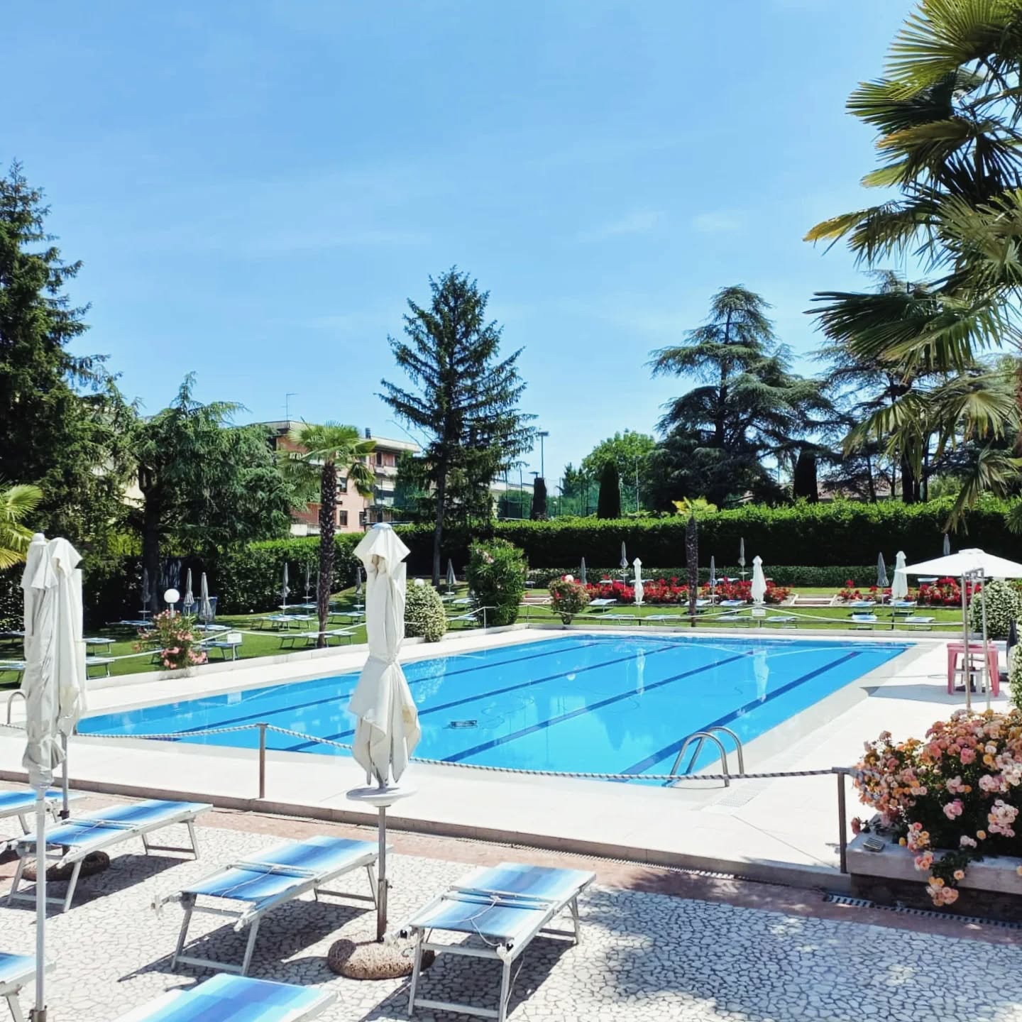 🌞 Oggi 2 Giugno siamo APERTI! 🏊♂️💦
Senza dover fare una levataccia di primo mattino e code infinite in autostrada...⛱️ Resta vicino, rilassati di più!
Le Piscine del Green Club ti aspettano per una giornata di sole, senza stress, senza traffico… solo benessere!
📍 Vieni a trovarci oggi! Siamo aperti dalle 9.30 alle 19.30.
#pisxcinegreenclub #estategreenclub #estateinpiscina #piscinaamodena #piscinaestiva #estateitaliana #GreenClub #2Giugno #PiscinaAperta #RelaxVicinoCasa #EstateInCittà