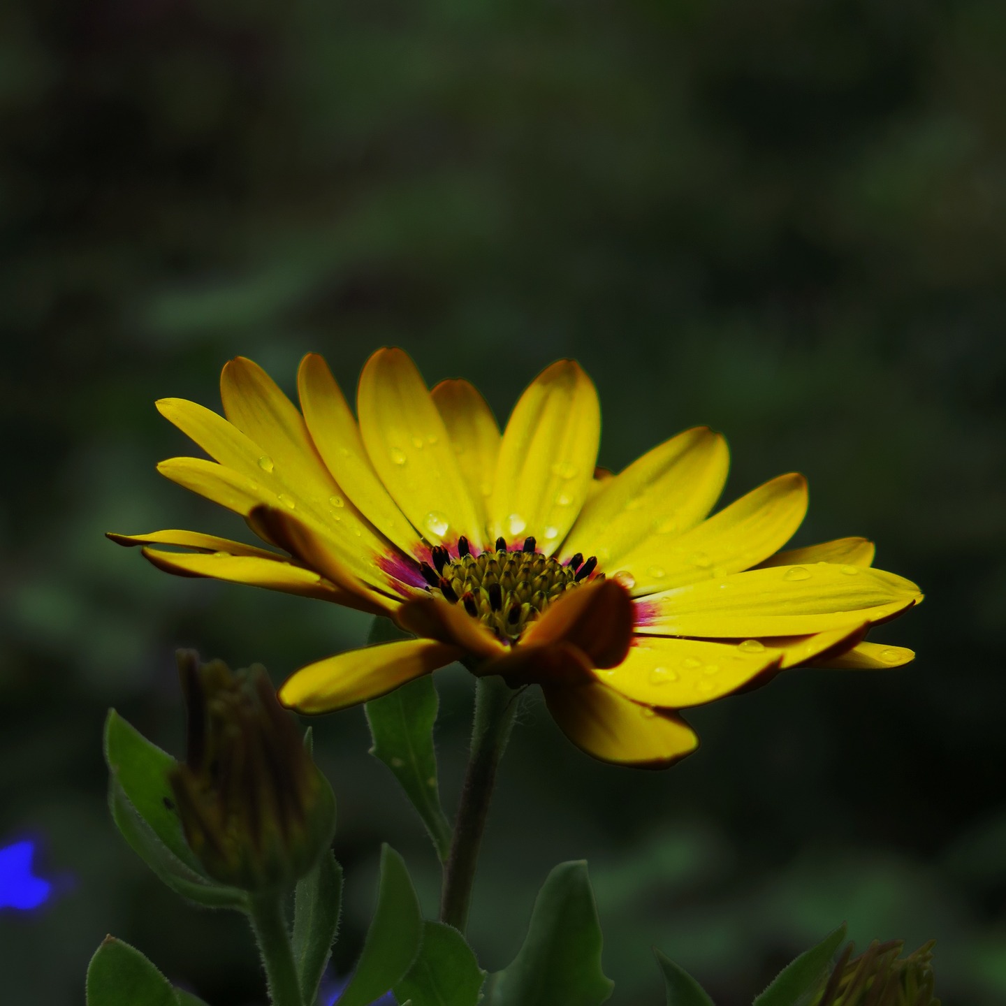 Photo competition 2025 - Adult Entries
What an incredible collection of gorgeous colours and textures. The judges are going to have a tough time choosing the winner!
Thank you to our entrants, @bendillsworth_ @ehartley13 @landedestatelaw @halina_lemare @stevelambden @simonblackmanp34