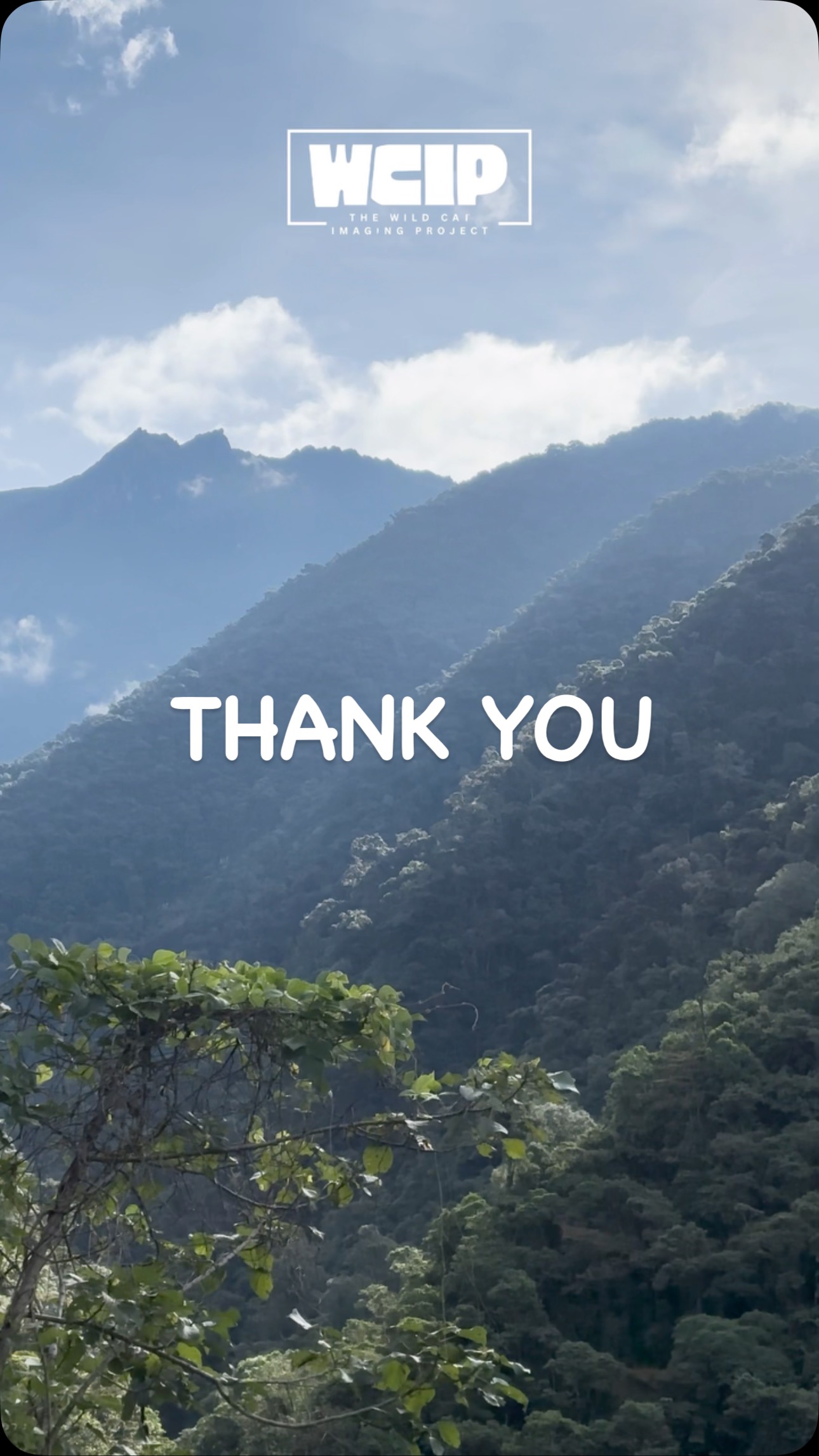 Founder @benjaminlwild with a quick video on how grateful we are for your recent support 🐆
We’re deeply thankful for the incredible support from around the world. Every donation, share, and message strengthens our mission to protect wild cats and their habitats across the globe. The Wild Cat Imaging Project is growing, and it’s because of you. Stay with us as we continue capturing the untold stories of these elusive species and fighting for their future. 🐾🌍
#WildCatImaging #WildCatProject #WildCatConservation #WildCatPhotography #BigCatConservation #SaveTheWildCats #WildlifePhotography #WildCatsOfInstagram #WildlifeImaging #CatConservation #WildlifeProtection #NatureLovers #ConservationPhotography #EndangeredSpecies #WildlifeConservation #SaveOurWildlife #ProtectOurPlanet #NaturePhotography #WildlifePlanet #PlanetEarth #InstaWildlife #NatureLoversOfInstagram #WildlifeShots #AnimalsOfInstagram #ExploreTheWild #WildlifeProtection #CatsOfInstagram #AnimalLovers #ExploreWildlife #NatureAddicts