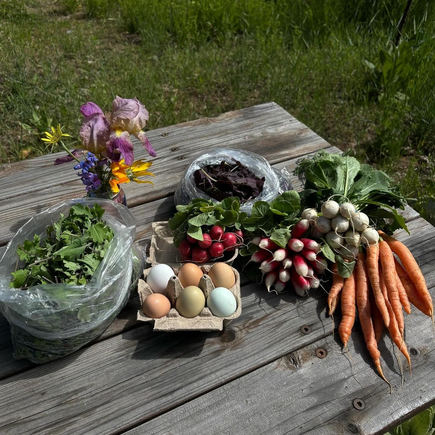 🌱 THE FARM STORE RETURNS! 🌱
Next Friday, June 6 | 4–8 PM
📍 Gracie’s Farm | Broadfork Barn
95 W 2100 S, Wanship, UT
We’re kicking off the season stocked with our regeneratively grown produce, local groceries, and artisanal goods. Your favorite vendors are back, and we’ve got some exciting new ones joining us this year!
🔥 Smokewood BBQ will be serving up delicious bites from 5–8 PM—but come early, we’re expecting to sell out fast.
Let’s celebrate summer, community, and good food—see you at the barn!
