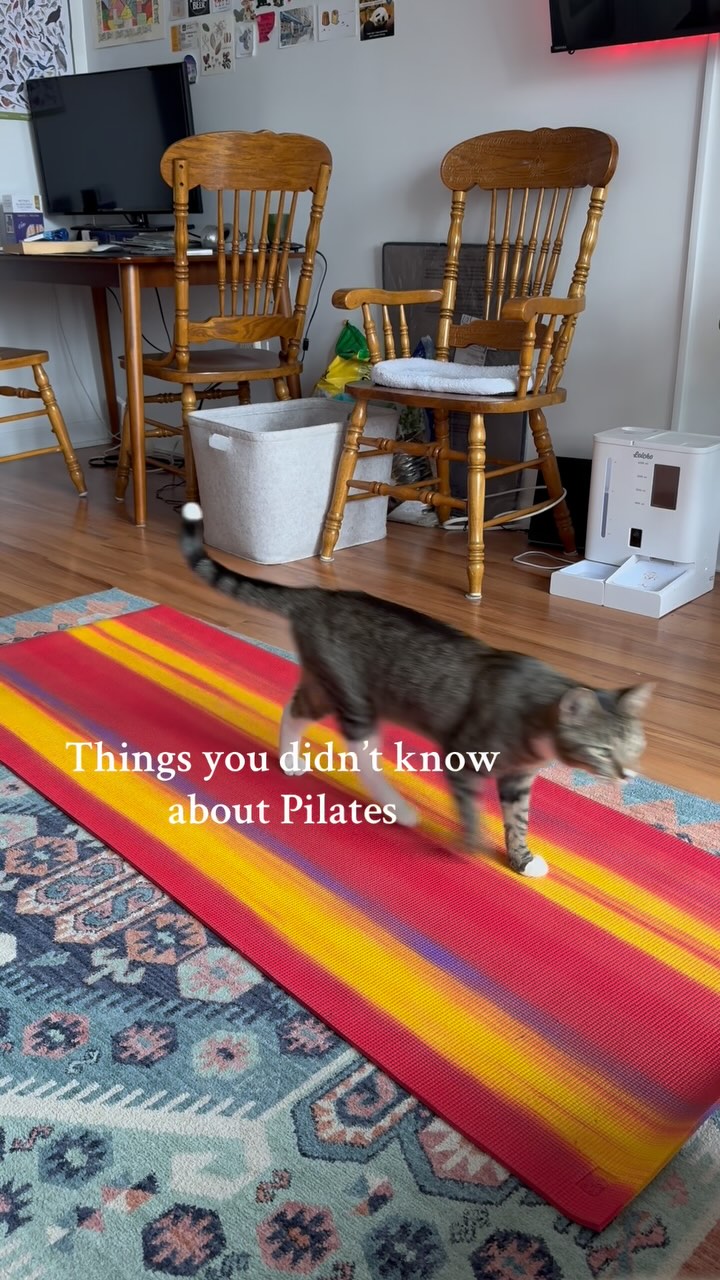 Things you may not know about Pilates!
💫Pilates💖 might seem like a trendy new workout but it has been around for more than 100 years! 📖 Pilates is an exercise system designed by founder Joseph Pilates in order to correct muscle imbalances to improve posture, coordination, balance, strength, flexibility, and breathing. 🧘♂️ Joe designed these exercises to heal his own physical ailments from being very ill in childhood and used it to help improve the physical and mental wellbeing of those imprisoned with him in internment camps during WW1.
Pilates is an incredible movement practice that improves physical and mental health and has deep historical roots. 💪🏻🧠 If you are interested in starting or deepening your pilates practice, come move with me!
#wellnesswithcourtney #pilates #nutrition #registereddietitian #RD #holistic #movement #guthealth #balancednutrition #goodmoodfood #eatingformentalwellness #movementformentalwellness #pilatesprincess #nourish