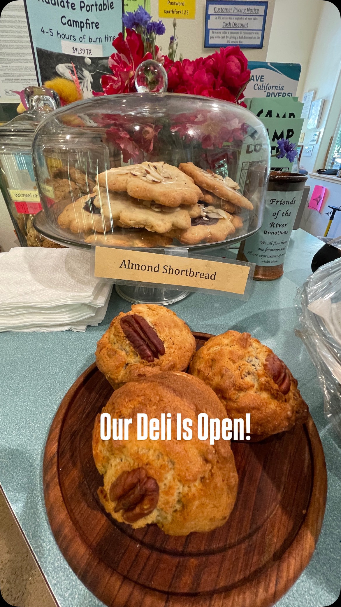 Our deli is open for the 2025 season!
Come get Robin’s famous fresh baked muffins or an organic Iced coffee ☕️
#camplotus #eldoradocounty #rivercamping #southforkamerican #eldoco #visitgoldcountry #visiteldorado #visiteldorado #freshbaked