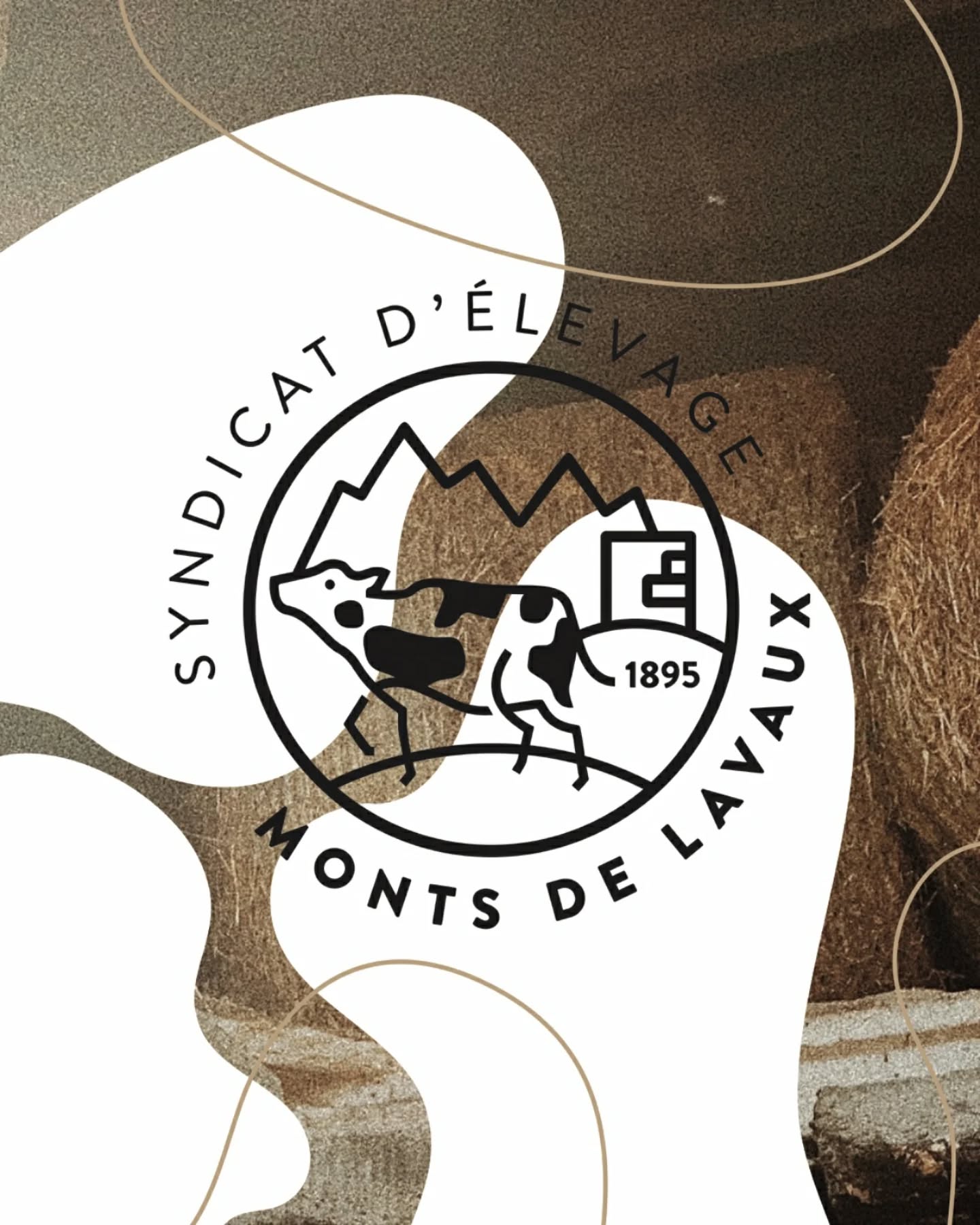 Syndicat d'élevage × logotype × 2022 🐄
(non-finalisé)
#cas pratique # logotype #design #exercice #cows #brown #beige #dessin #branding #graphisme