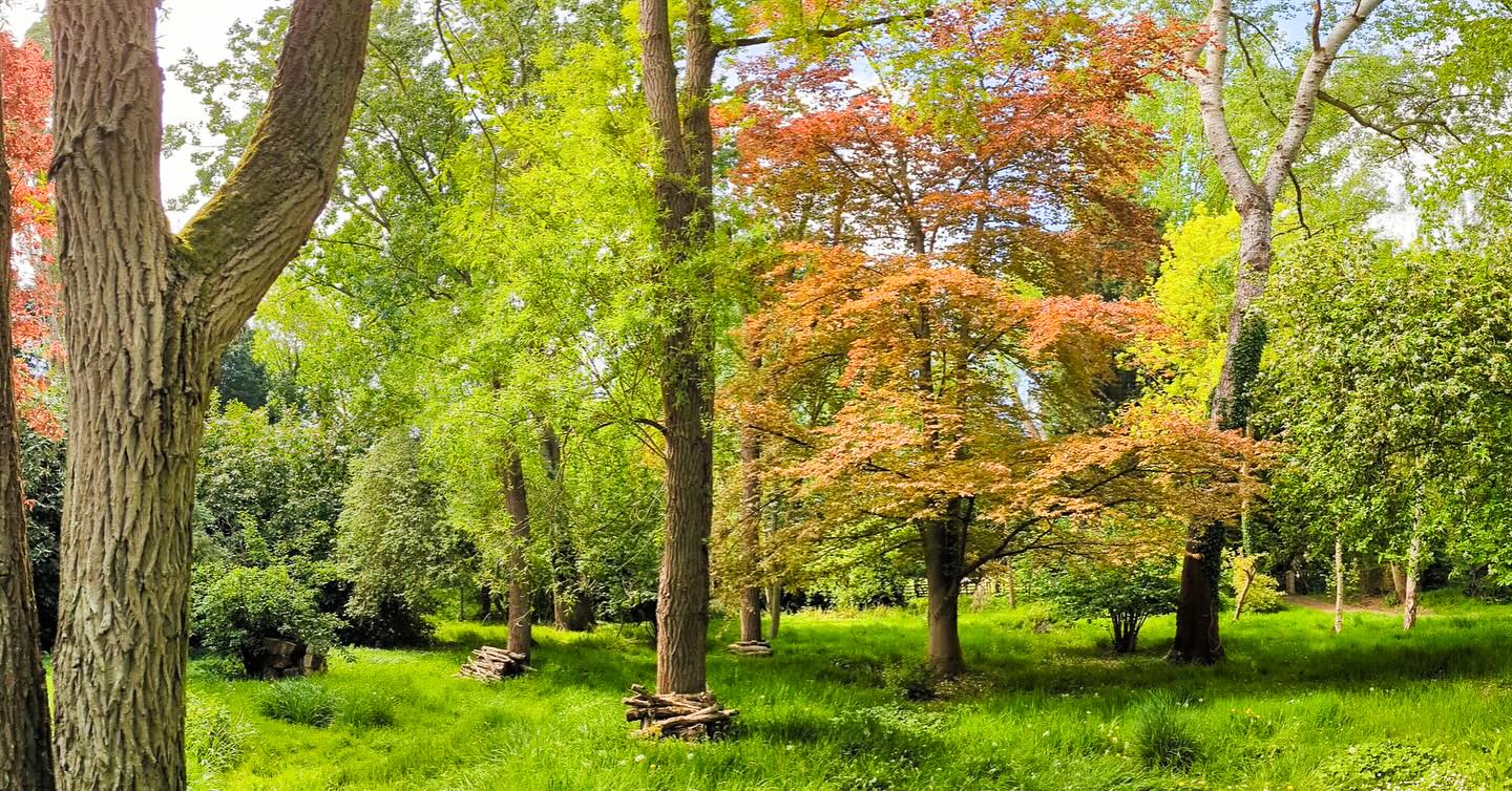 The natural beauty of the Estate helping us to fulfil our purpose as a restorative sanctuary for creative freelancers to work, collaborate, and dream