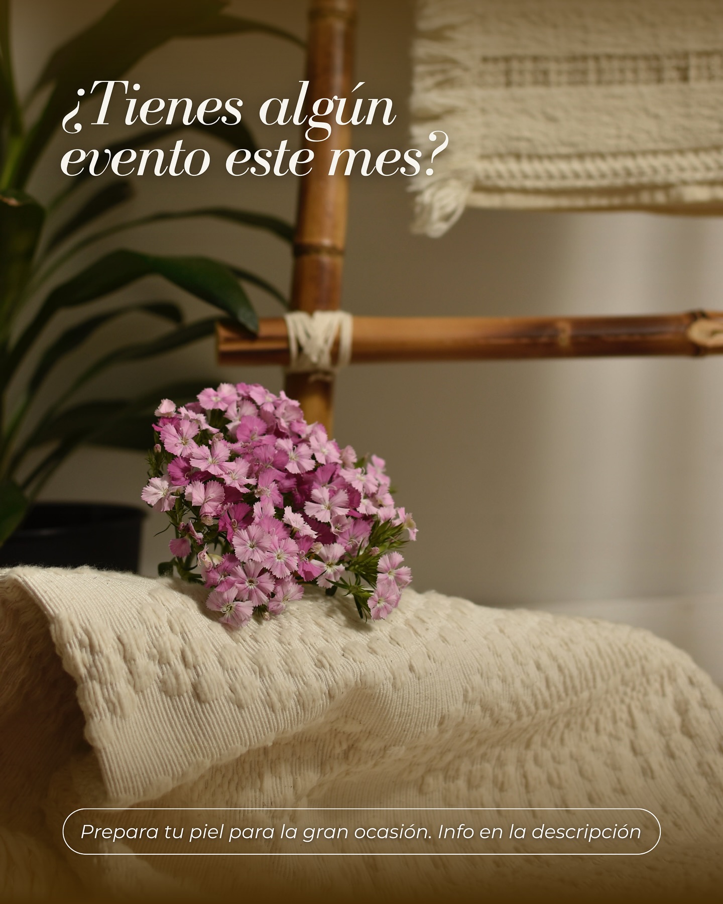 ✨ Junio está lleno de momentos para brillar: bodas, comuniones, celebraciones...
Y en @boutiquespacosmetics tenemos todo lo que necesitas para que tu piel y tu energía estén a la altura.
💐 Ya sea tu gran día o el de alguien especial, prepararte también es parte de la experiencia.
Recomendados del mes:
🌟 Thermal Spa Express + Lifting Facial Serum de Gratiae
El combo ideal para una piel hidratada, luminosa y lista para cualquier foto.
🧖🏼♀️Consulta por todos nuestros tratamientos personalizados y productos.
📍 Disponible en Madrid y Barcelona.
📅 Los turnos vuelan esta temporada. Agenda tu cita hoy y asegura tu momento de glow.
.
.
.
.
.
.
.
.
.
.
#PreparaciónDeLaPiel #TratamientoFacial #SpaMadrid #SpaBarcelona #brillaconconfianza