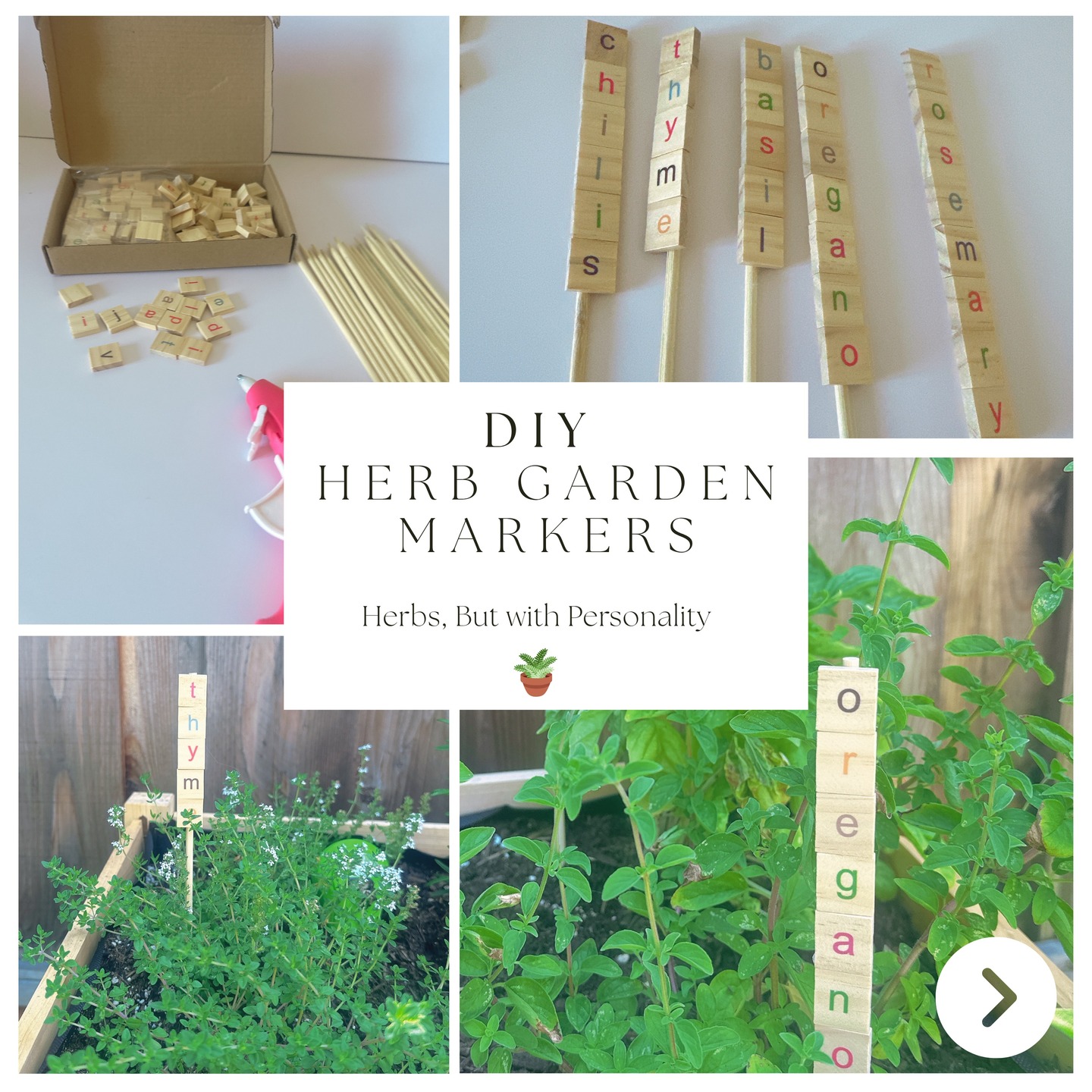 Garden glow-up in progress! I made the cutest little garden sticks to help my herbs feel right at home — because basil deserves a name tag too!
A pop of color, a dash of DIY, and a whole lot of love went into these.
Now every time I water, I smile 😊
Visit my blog for links to the tiles and stakes I used: https://www.designstobloom.com/post/diy-herb-garden-markers-that-are-cute-crafty-totally-easy
#designstobloom #herbgarden #gardenvibes