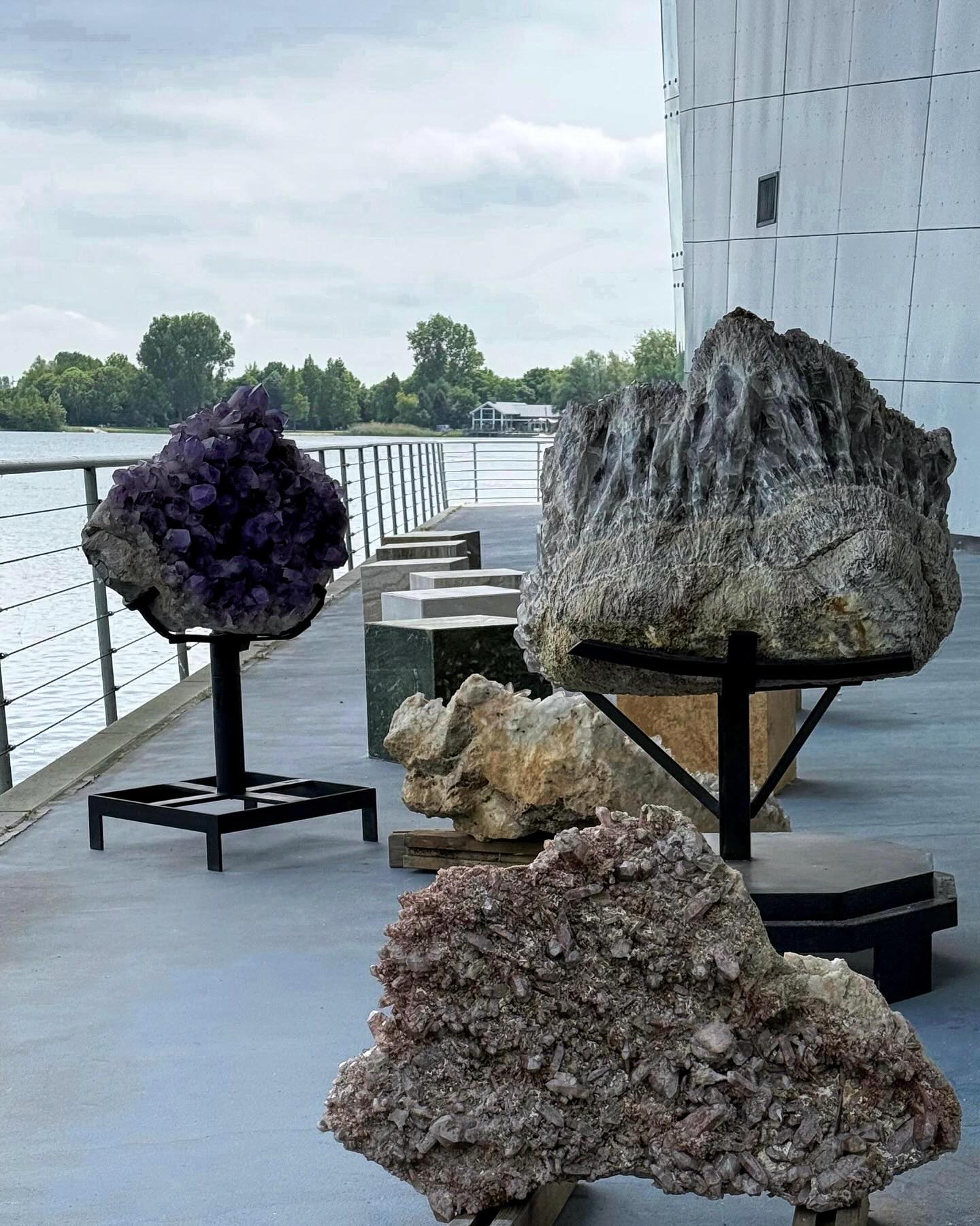 Color In The Yard😈