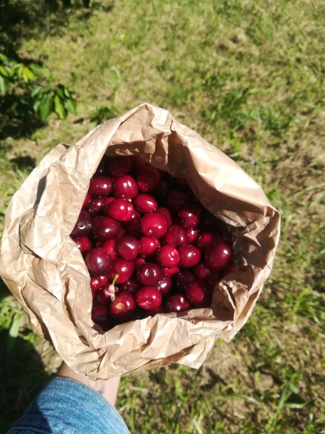 Mai 2025. MERCI 🌞
1. Des cerises 🍒 et mon poids en fruits à manger par semaine d'ici peu 😂 (je vous raconterai ça 🤭)
2. La Drôme encore et encore 💜
3. Le vrai village 🏡
4. Les kilos de 🍓 du jardin
5. Des moments de joie 🐎
6. Des enfants, des amis, du 🌞🌳
7. Home sweet home 🏡
8. De la beauté et de la légèreté 🦋
9. Encore de la Drôme, des rêves et des envies ✨
Et toi tes petits bonheurs de mai ?
🦋🦋🦋