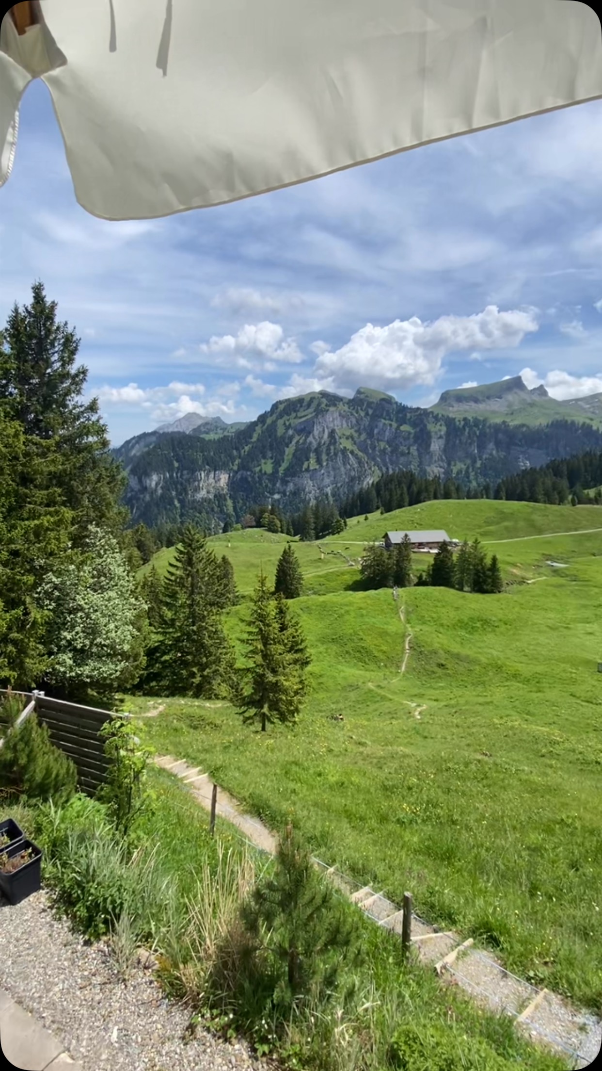 Sommer-Event 2025 🥾☀️
Der Weg vom Roggen-Parkplatz bis zum Adlerhorst wurde durch knifflige Rätsel begleitet und so hat jede und jeder ein feines Zmittag verdient. Danke für die Organisation, der SCO hat auch im Sommer jede Menge Spass in den Bergen. 😎💪🏼
#scoberiberg #adlerhorst #roggenstock #magischeskistöcke #anä1928 #legände