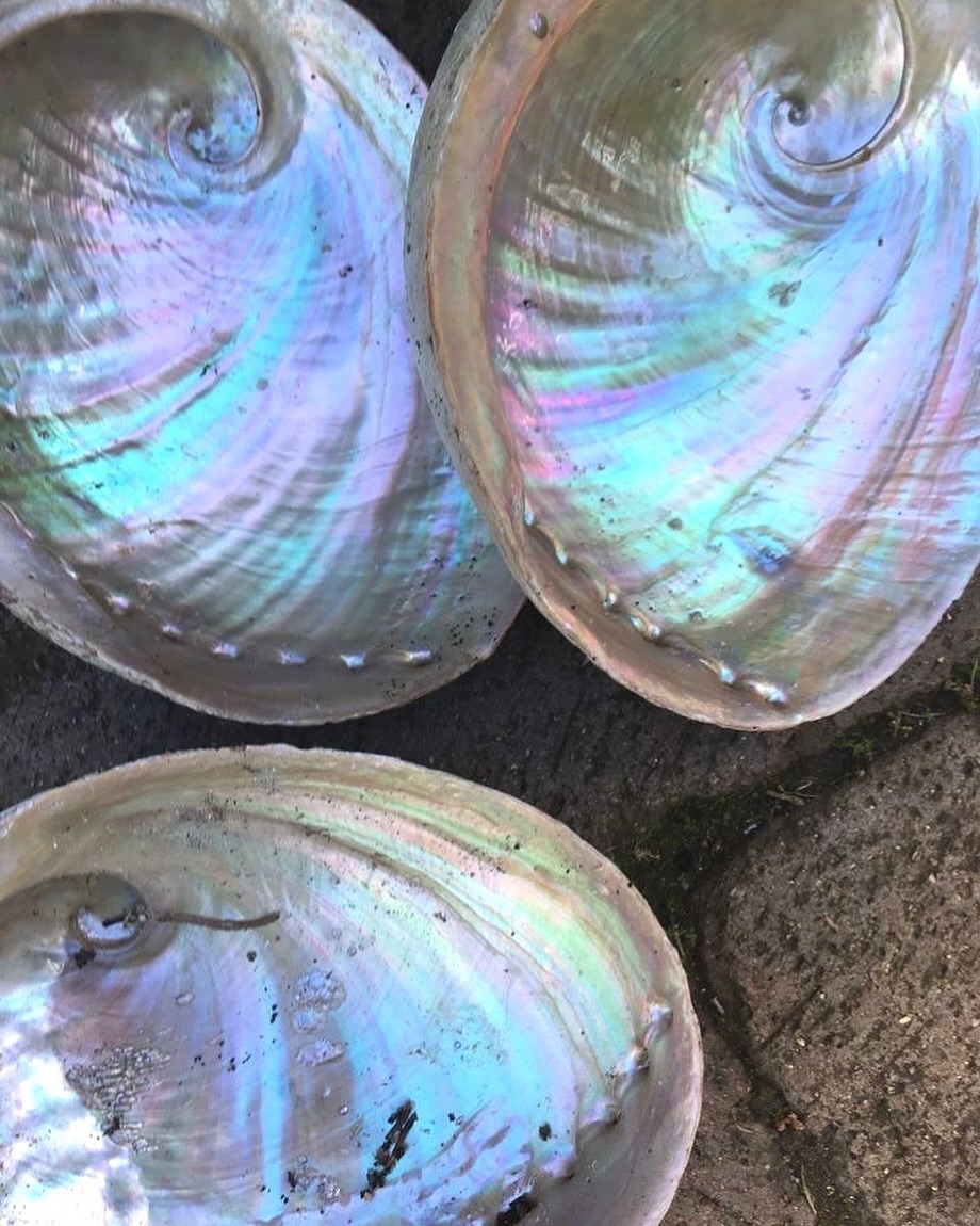 This Monday, we’re feeling illuminated 💡