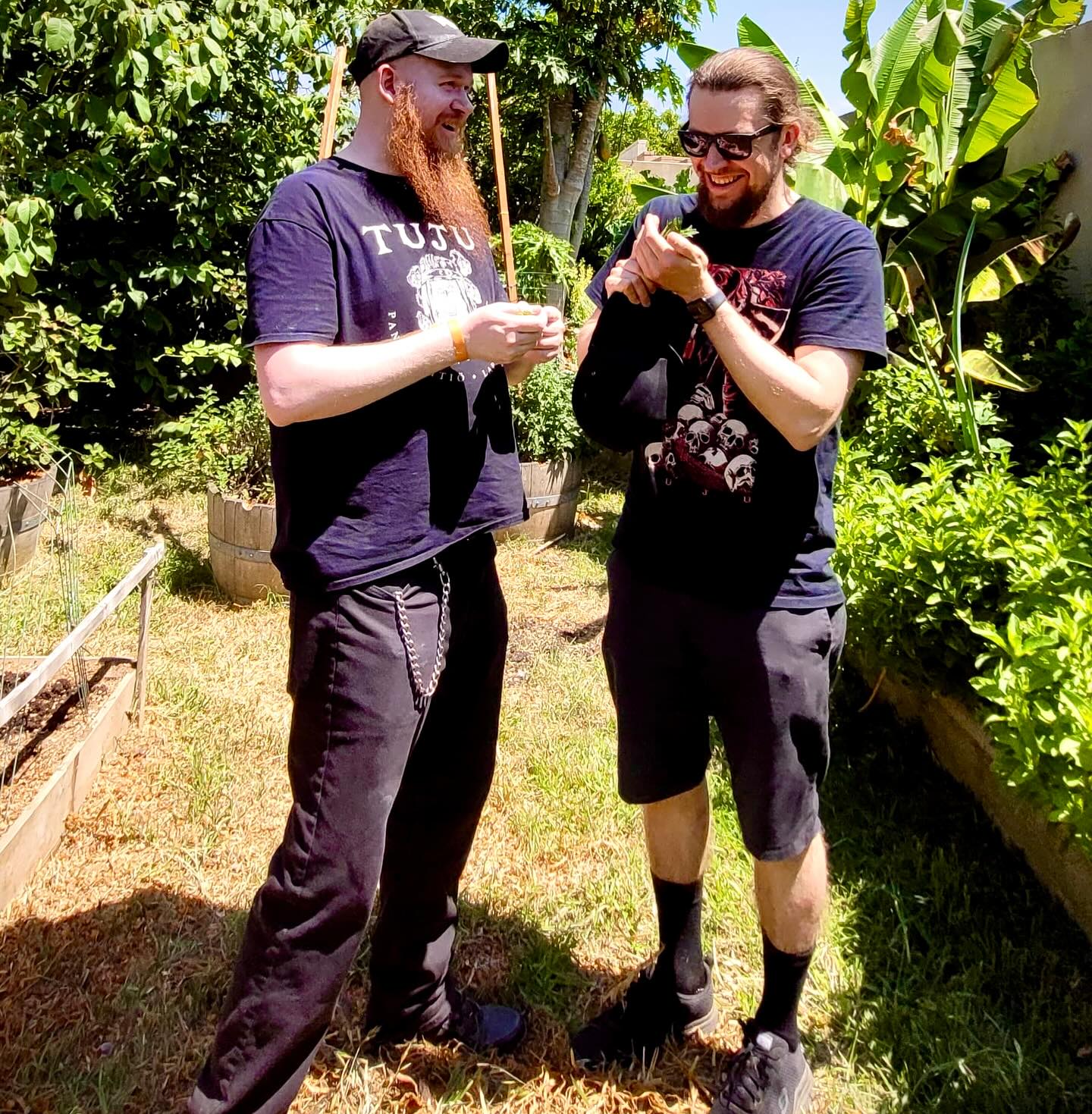 Coyotes, and serpents, and chickens…oh my! 🇺🇸
Today we’re back in Southern California, foraging for botanicals for a special wild ale collab with our friends at @sourcellars ! We’ve been hiking through the mountains, field-handing in backyards, and encountering all sorts of wild beasts along the way!*
This crazy concoction features a brilliant Zinfandel barrel-aged wild ale base blended with an in-your-face bouquet of Thai lime leaves and peel, fennel, California laurel bay leaves, and Cuban oregano, all of which were freshly harvested today by our combined brewery teams! Expect this wicked wild to have an exceptionally herbal, almost absinthe-like flavor profile, with soft aromas of citrus oil, licorice, and tropical spices.
This has been an absolutely incredible trip and we would like to extend a huge thank-you to Chintya and Bryan for being exceptionally gracious hosts! Amazing people making amazing beers, wines, and meads! Stay tuned for their visit to our brewery soon! We have a special Sour Cellars tasting event at the Tuju Taproom on Wednesday, 11.06, at 18:00! Don’t miss it!
*No chickens were harmed during the making of this beer, but the sales rep may not be able to feel his feet…
——-
Kojootteja, käärmeitä ja kanoja… herra siunaa! 🇫🇮
Tänään olemmekin Etelä-Kalifornian vuoristoissa etsimässä raaka-aineita yhteistä villioluttamme varten ystäviemme @sourcellars kanssa! Päivän ohjelma on sisältänyt hikistä vaellusta vuorilla, raaka-aineiden etsimistä takapihalta ja erilaisia kohtaamisia villieläinten kanssa.
Päivän tynnyriblendauksemme sisältää Zinfandel-tynnyrikypsytetyn oluen, johon on sekoitettu itsekerättyjä thaimaalaisia limen lehtiä, fenkolia, kalifornialaisia laakerinlehtiä ja kuubalaista oreganoa. Lopputulos tulee sisältämään yrttistä ja absinttimaista makuprofiilia, jossa on pehmeä sitrusöljy, lakritsi ja trooppisten mausteiden paletti hellii makuhermoja.
Uskomaton päivä ollut täällä Rancho Cucamongassa ja suuri kiitos Chintyalle ja Bryanille poikkeuksellisen ystävällisestä isännöinnistä!