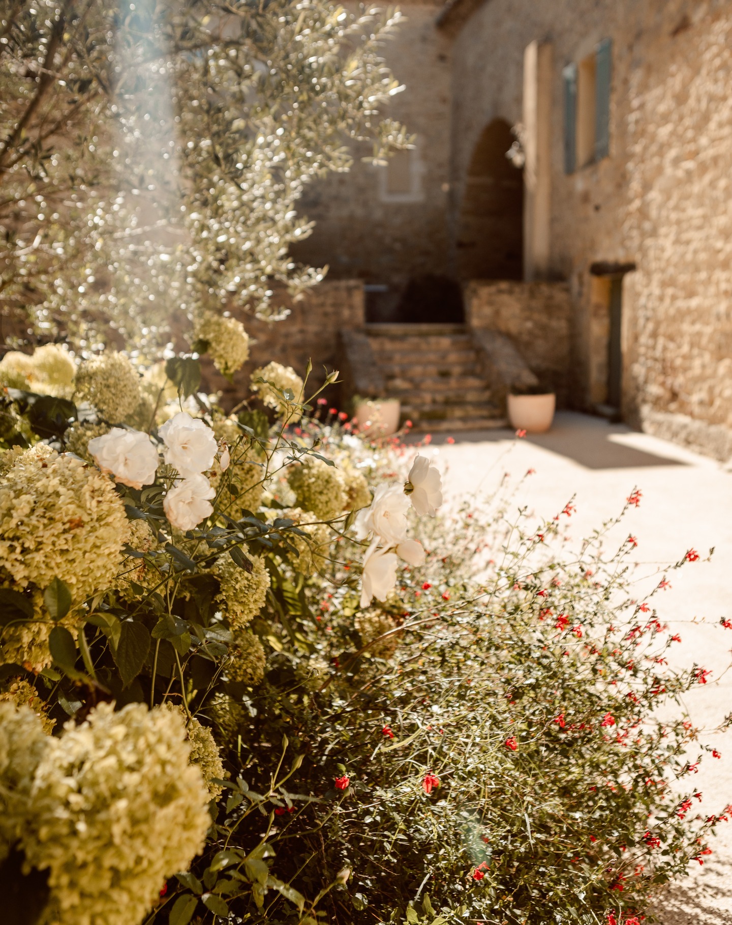 Swipe to feel the magic. 🍂🤍
A London love story under the soft autumn light of Provence, captured with tenderness by @amybpics
#domainedevalbonne #provencewedding #autumnvibes #weddingmemories #loveinprovence #weddingvenues #southoffrance #ukwedding #saintpauletdecaisson #gard #provence
