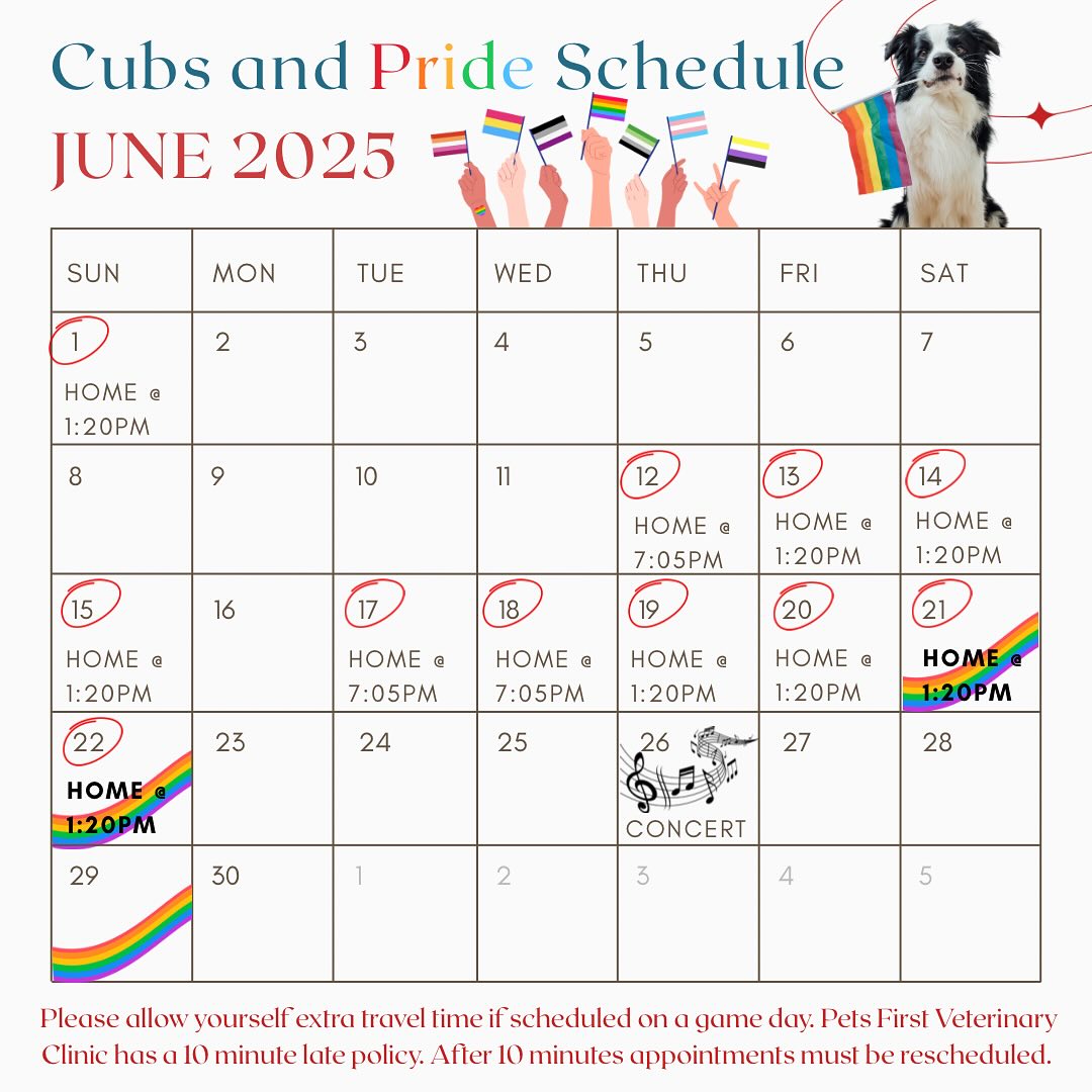 Happy Pride 🏳️🌈🏳️⚧️