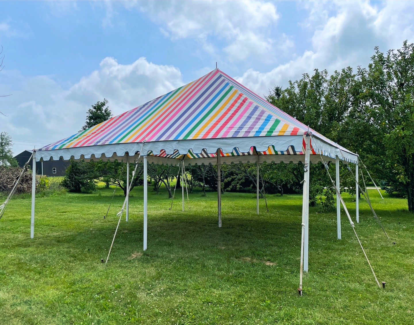 June is LGBTQ Pride Month! 🌈 At Herriott's, we're all about celebrating diversity and inclusion. Let us help you create a memorable celebration that truly reflects your unique style! Inquire about our rainbow pole tent and show off your Pride! 💖 #PrideMonth #CelebrateDiversity #LoveIsLove