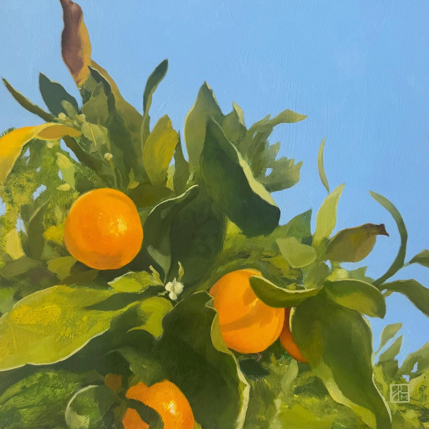 New work coming to the @utahartmarket ‘s 135 show on June 14. I’d love to see you there. Please come and say hi! I will be posting available work here until the show, so stay tuned. And if you have friends in Utah please share the info… it will be fun event!
#utahartmarket #artshow #oranges #artforbreakfast #artcollectorsofinstagram #artcollector #contemporaryfineart