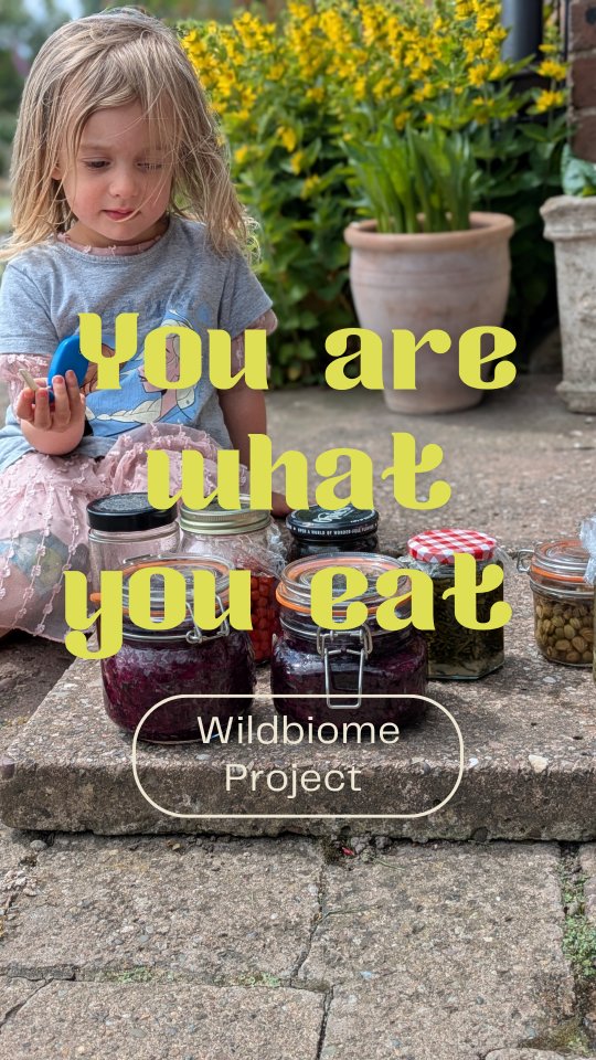Navigating a wild-food-only diet for the @wildbiomeproject, thinking about my health in general and feeding a toddler really gets you thinking... Then I remember that it is a privilege to access food, in the wild or in a supermarket, and how f*cked up is that? #gaza