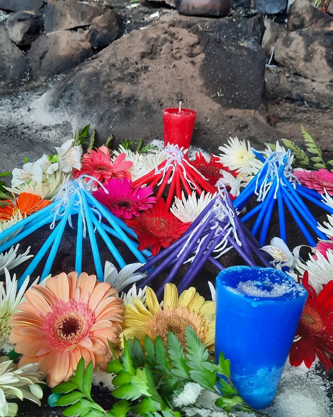 Where and how to begin!?
In a moment of integration, trying to share what's going on in this trip, only 1 week in, yet feels waaaaay longer.
Immersed into the roots of Mayan wisdom with the Tz'utujil people in San Pedro la Laguna, a small town where ancient ways remains vibrant amidst modernity rising.
In deep gratitude to Nana Marina Cruz @marinacruz_8 , Tata Chema, Nana Rosario and all their family for welcoming me and opening the doors of their house, sharing their wisdom and special family moments.
Visiting ancient Sacred Altars, making offerings, doing ceremony, daily prayers with Tohil, the Sacred Fire, connected with @holywowcacao beautiful Cacao project, sat with @lavalovecacao in ceremony...
Diving deep into the calendar, working with tobacco, Sacred Fire in the Mayan ways and learning more about Cacao from the source. It's mind blowing, moving me in many ways. I'm in awe, words run short.
It's also a very special moment in the Mayan calendar for me, my Mayan b-day just happened, and in sync many special days within my Mayan astrology are happening. I didn't know at all about this! Divine timing. We're doing ceremonies for these energies to support my mission, path ahead and all around.
Prayers are being sent for my community, family, partnership, relatives, people I work with, my service and so much more.
It was a ride to get here, +40hrs of traveling, 4 planes, massive time zone difference. Worth it, big time!
Sending my gratitude to all of you who are a part of this happening. Know you're in my prayers everyday and blessings are being broadcasted in the ceremonies happening. Thanks for contributing, donating, gifting, purchasing goodies, sessions and ceremonies upfront and praying for me so this can be real. Maltiox! Suksma! Gracias!! 🙏🏽💜
Allowing these lands and abuelos to show me the way, the Fire to guide and align, tobacco chaneling prayers and teaching, Cacao embracing it all and my heart to be nurtured by this life long dream coming true.
Remembering, everyday a little bit more.
Until the next update Familia!!
Blessings for our paths! 🙌🏽
•
🗓 12 Kaan
📍 San Pedro la Laguna, Atitlán, GuateMaya