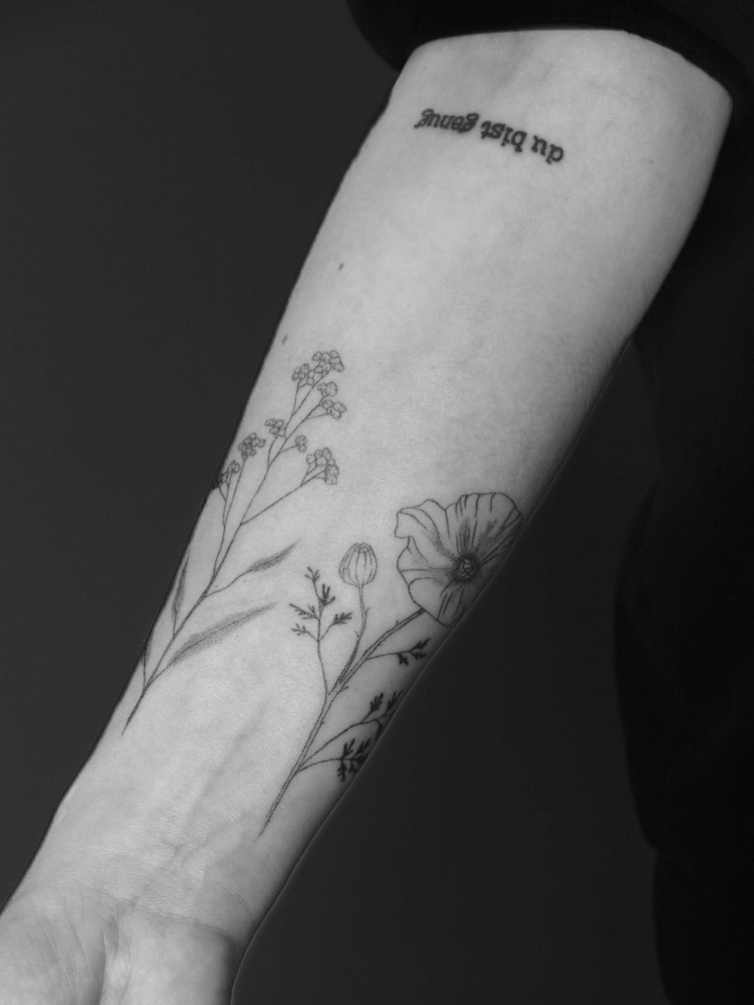 wildblumenwiesenstück
(work in progress)
merci madleine
#handpoketattoo
#floraltattoo
#wildflowertattoo
#botanicaltattoo
#blumenmotiv
#tattooinspiration
#tattoomagic
#finelinetattoo
#naturetattoo
#tattoojournal
#inkedwithlove
#tattoodesign
#blumenliebe
#weimartattoo
#erfurttattoo
#jenatattoo