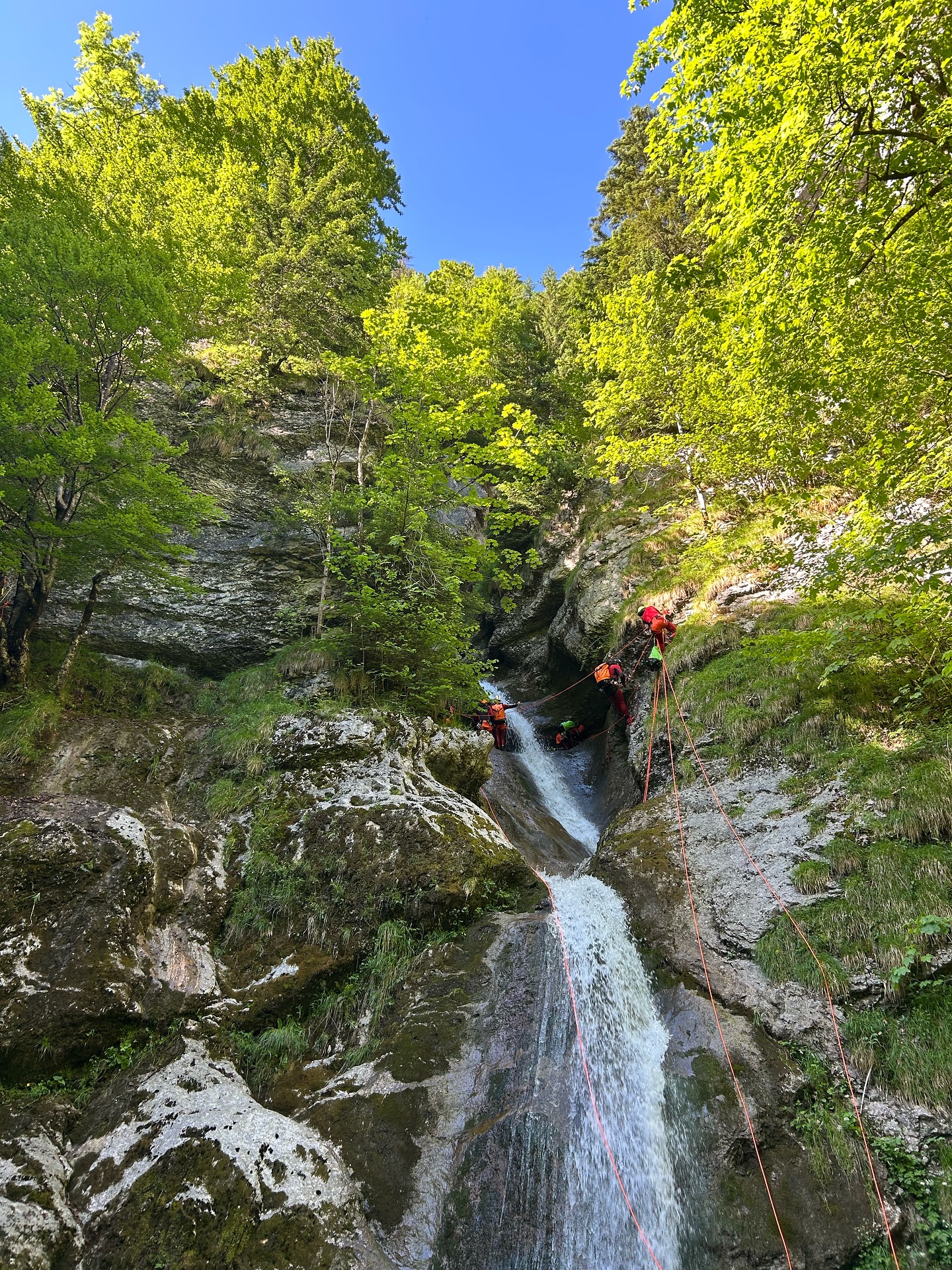 Canyoningkurs Bergrettung Vorarlberg 2025 ✅
#canyoning #wasserfall #bergrettung #bergrettungvorarlberg #outdooradventure