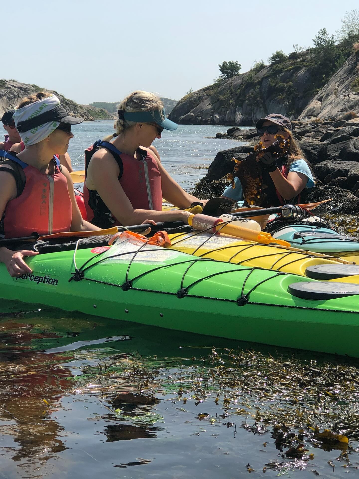Tjejpaddling & mingel. Välkommen till en härlig dag i Grebbestad tillsammans med andra kajakintresserade tjejer. Våra kvinnliga guider på Nautopp Kajakcenter Grebbestad guider gänget till en av våra farvoritöar där vi äter lunch tillsammans. Dagen präglas av en härlig inkluderande stämning där vi umgås med nya och gamla paddelkompisar!
Du får också möjlighet att ställa frågor till guiderna om sommarens kurser och turer och bara njuta av den fantastiska Bohuslänska skärgården.
Vi träffas kl 10.00. och paddlar en tur på ca 4 timmar. Sen återvänder vi till kajakcentret för fika där man samtidigt kan testa olika kajakmodeller och paddlar och ställa frågor och diskuterar kajaker och utrustning med guiderna eller övriga deltagare.
Du som är bokat har även 10% på all utrustning i butiken under dagen ( ej kajaker)
Pris pr person: 200,- och då ingår lunch med bubbel ( alkoholfri) samt fika te och kaffe.
Har du ingen egen kajak är du välkommen att hyra av oss.
Anmälan gör du via länken på vår hemsida/nedan
Testa: Valley, North Shore, & Design kayaks, samt paddlar från Select, Gram och East pole paddles.
Boka: https://nautopp.rezdy.com/711527/tjejpaddling-mingel