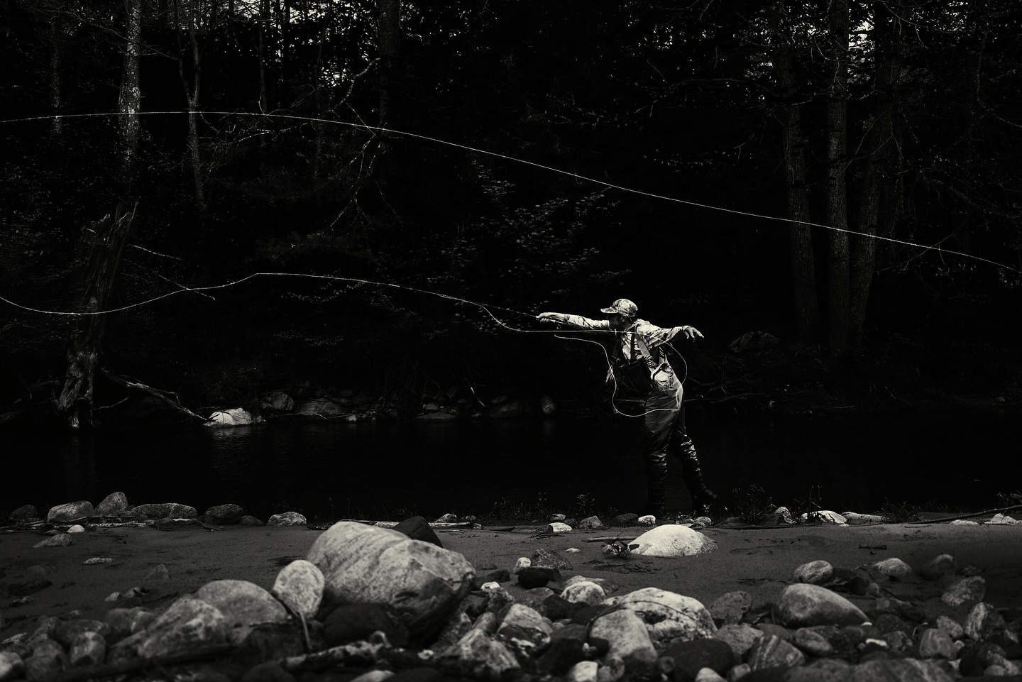 Amphibians, Invertebrates, & Salmonids
Which one is Joe