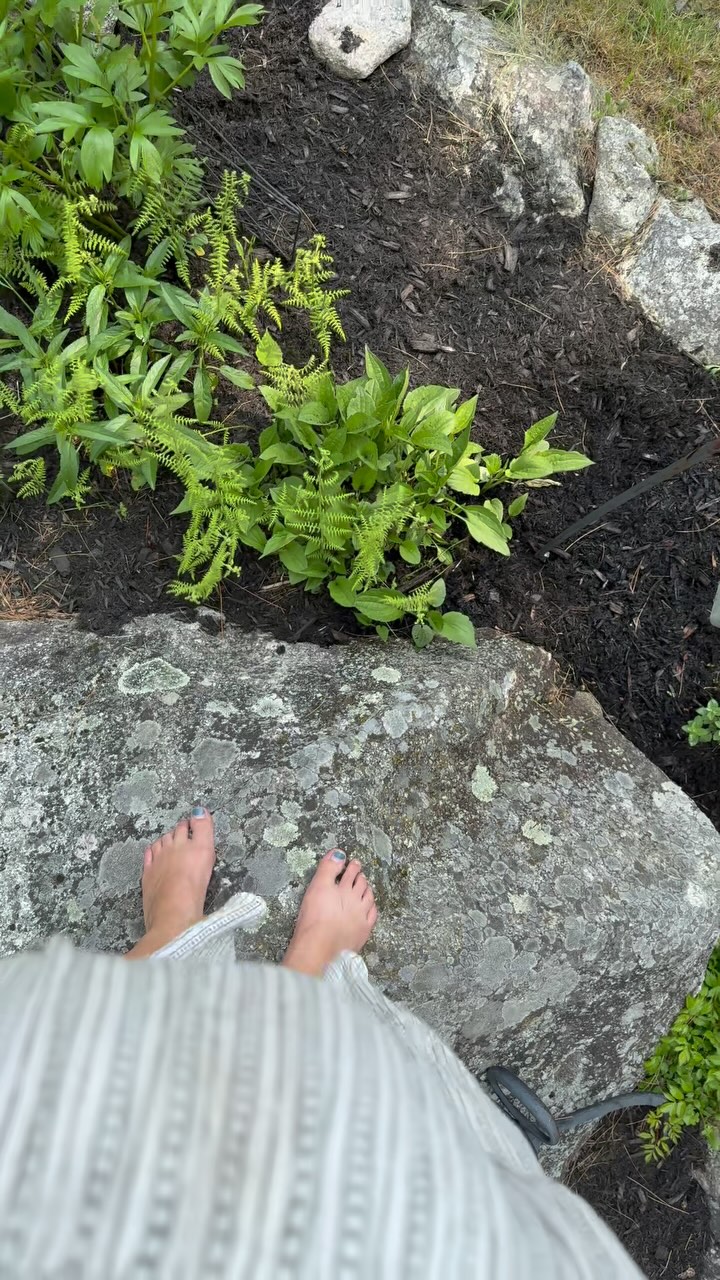 Barefoot in the garden, belly full of baby and hands full of weeds 🌿👣
Gardening in my third trimester isn’t easy—but there’s so much love in every seed, every step, every breath of this island air.
This patch of earth may be small, but it’s growing something wild and beautiful—just like this season of life. 💛
#BarefootOnBirchIsland #IslandMama #PregnantAndPlanting #ThirdTrimesterLife #OffGridLiving #GardenLove