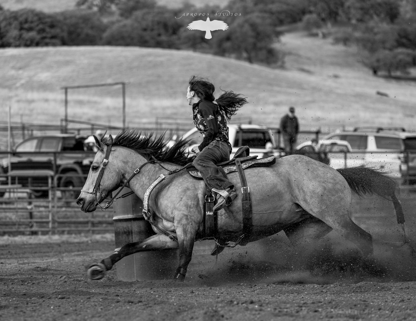 Looking to cover some barrel races again! If you know someone looking put in a good word!
#barrelracing #slocounty #sanluisobispo #equinephotography